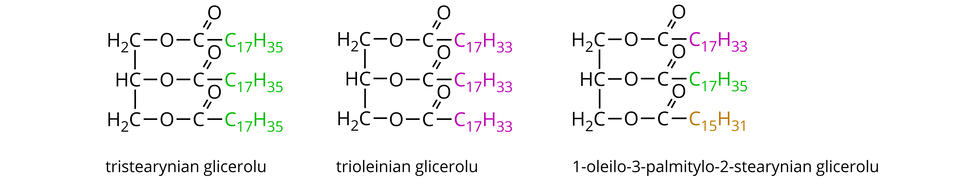 Na ilustracji ukazano wzory półstrukturalne tristearynianu glicerolu, trioleinianu glicerolu i jeden–oleilo– trzy–palmitylo–dwa–stearynianu glierolu. Pierwszy wzór zbudowany jest z grup H indeks dolny, dwa, koniec indeksu dolnego, C, H C i H indeks dolny, dwa, koniec indeksu dolnego, C połączonych wiązaniami pojedynczymi. Od każdej z nich odchodzi wiązanie pojedyncze do atomów tlenu O, od których odchodzi wiązanie pojedyncze do atomów węgla C, od których odchodzą po dwa wiązania: podwójne na ukos w górę do atomu tlenu O i w prawo do grup C indeks dolny, siedemnaście, koniec indeksu dolnego, H indeks dolny, trzydzieści pięć, koniec indeksu dolnego, które oznaczono kolorem zielonym. Pod wzorem znajduje się podpis: tristearynian glicerolu. Drugi wzór zbudowany jest z grup H indeks dolny, dwa, koniec indeksu dolnego, C, H C i H indeks dolny, dwa, koniec indeksu dolnego, C połączonych wiązaniami pojedynczymi. Od każdej z nich odchodzi wiązanie pojedyncze do atomów tlenu O, od których odchodzi wiązanie pojedyncze do atomów węgla C, od których odchodzą po dwa wiązania: podwójne na ukos w górę do atomu tlenu O i w prawo do grup C indeks dolny, siedemnaście, koniec indeksu dolnego, H indeks dolny, trzydzieści trzy, koniec indeksu dolnego, które oznaczono kolorem fioletowym. Pod wzorem znajduje się podpis: trioleinian glicerolu. Trzeci wzór zbudowany jest z grup H indeks dolny, dwa, koniec indeksu dolnego, C, H C i H indeks dolny, dwa, koniec indeksu dolnego, C połączonych wiązaniami pojedynczymi. Od każdej z nich odchodzi wiązanie pojedyncze do atomów tlenu O, od których odchodzi wiązanie pojedyncze do atomów węgla C, od których odchodzą po dwa wiązania: podwójne na ukos w górę do atomu tlenu O i w prawo do grup, kolejno od góry: C indeks dolny, siedemnaście, koniec indeksu dolnego, H indeks dolny, trzydzieści trzy, koniec indeksu dolnego, oznaczonej kolorem fioletowym, C indeks dolny, siedemnaście, koniec indeksu dolnego, H indeks dolny, trzydzieści pięć, koniec indeksu dolnego, oznaczonej kolorem zielonym i C indeks dolny, siedemnaście, koniec indeksu dolnego, H indeks dolny, trzydzieści jeden, koniec indeksu dolnego, oznaczonej kolorem brązowym. Pod wzorem znajduje się podpis: jeden–oleilo– trzy–palmitylo–dwa–stearynian glierolu.