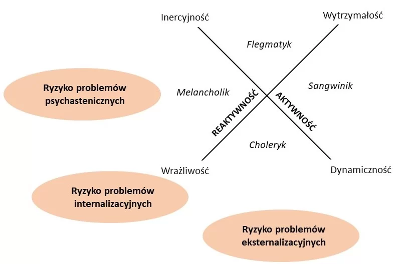 Obraz przedstawia w postaci przecinających się linii wymiary temperamentu jako czynniki ryzyka 3 rodzajów problemów: eksternalizacyjnych, internalizacyjnych i psychastenicznych.