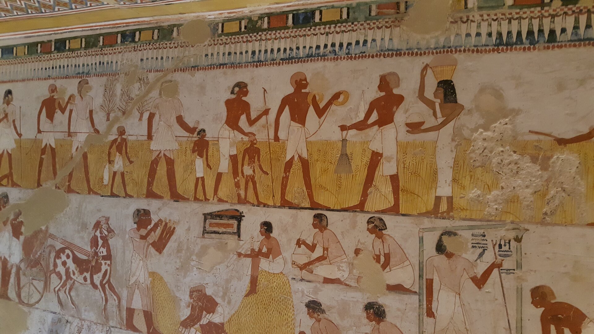 Ilustracja przedstawia fragmenty malowideł grobowca Menny w Tebach.
