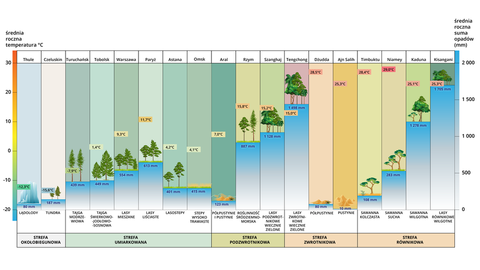 Na schemacie widać czynniki wpływające na rozmieszczenie formacji roślinnych. Znajduje się na nim słupek ze średnią roczną temperaturą, informacja, jaki to jest typ formacji roślinnej wraz z niewielką ilustracją poglądową, nazwa miejscowości, ilość średnich opadów na metr kwadratowy oraz strefy do jakich należą.  Miejscowość Thule  należy do strefy okołobiegunowej. Występują tam lądolody. Średnia roczna temperatura to -12,3 stopni Celsjusza, a ilość opadów to 80 mm. Miejscowość Czeluskin znajduje się w tundrze. Zaznaczona tam temperatura to -15,6 stopni. Jest to również strefa okołobiegunowa, ilość opadów wynosi 187 mm.  Kolejne miasta należą do strefy umiarkowanej. Są to kolejno Turchańsk, Tobolsk, Warszawa, Paryż, Astana i Omsk. W Turuchańsku występuje tajga modrzewiowa. Średnia roczna temperatura wynosi tam -7,9 stopnia, a opady wynoszą 439 mm na metr kwadratowy. Tobolsk to tajga świerkowo‑jodłowo‑sosnowa. Średnia roczna temperatura to 1,4 stopni, a średnie roczne opady to 449 milimetrów. Warszawa leży w formacji lasów mieszanych. W Warszawie średnia roczna temperatura to 9,3 stopni Celsjusza, a opady wynoszą 554 mm. Z kolei Paryż leży w strefie lasów liściastych. Średnia roczna temperatura wynosi tam 11,7 stopni Celsjusza, a opady to 613 milimetrów. Astana należy do formacji lasostepów. Średnia roczna temperatura to 4,2 stopnie, a opady wynoszą 401 milimetrów. Omsk to są stepy wysokotrawiaste. Temperatura tam to 4,1 stopni, opady wynoszą 415 milimetrów.  Kolejne trzy miasta: Aral, Rzym oraz Szanghaj należą do strefy podzwrotnikowej. Aral leży w obrębie typu półpustyń i pustyń. Średnia roczna temperatura to 7 stopni Celsjusza, a opady wynoszą 123 mm na metr kwadratowy. Rzym znajduje się w strefie roślinności śródziemnomorskiej. W Rzymie średnią roczną temperaturę odnotowano w granicach 15,8 stopni, a opady wynoszą 887 mm. Szanghaj leży w obrębie lasów podzwrotnikowych wiecznie zielonych. Średnia temperatura w tym mieście wynosi 15,2 stopni, a średnia ilość opadów to 1128 mm.  Kolejne trzy miasta: Tengchong , Dżudda  i  Ajn Salih to strefa zwrotnikowa.  Tengchong  leży w obrębie lasów zwrotnikowych wiecznie zielonych. Średnia roczna temperatura wynosi 15 stopni, z  kolei średnie opady to 1498 milimetrów. Dżudda należy do półpustyń. Średnia temperatura to 28,5 stopnia, a opady 80 milimetrów.  Ajn Salih należy do pustyń. Średnia roczna temperatura wynosi 25,3 stopnia, a opady to 10 mm.  Kolejne cztery miasta – Timbuktu , Niamey, Kaduna  i Kisangani  to strefa równikowa. W Timbuktu występuje formacja sawanny kolczastej. Średnia roczna temperatura w tym mieście to 28,4 stopni, a opady to 108 mm. Niamey należy do sawanny suchej. Średnia temperatura wynosi 29 stopni, a opady to 283 milimetrów. Do sawanny wilgotnej zalicza się miasto  Kaduna. Średnia temperatura wynosi tu 25,1 stopni, a opady 1278 milimetrów. W Kisanganiwystępują lasy równikowe wilgotne. Średnia roczna temperatura to 25,3 stopni, a opady to 1705 milimetrów.