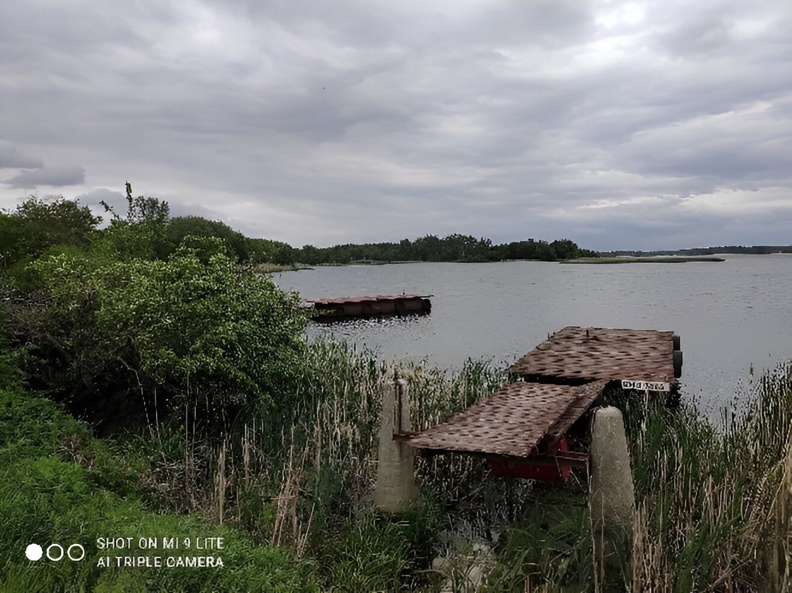 Fotografia przedstawia zbiornik wodny. Nad brzegiem dwa drewniane mostki, wokół nich zarośla.