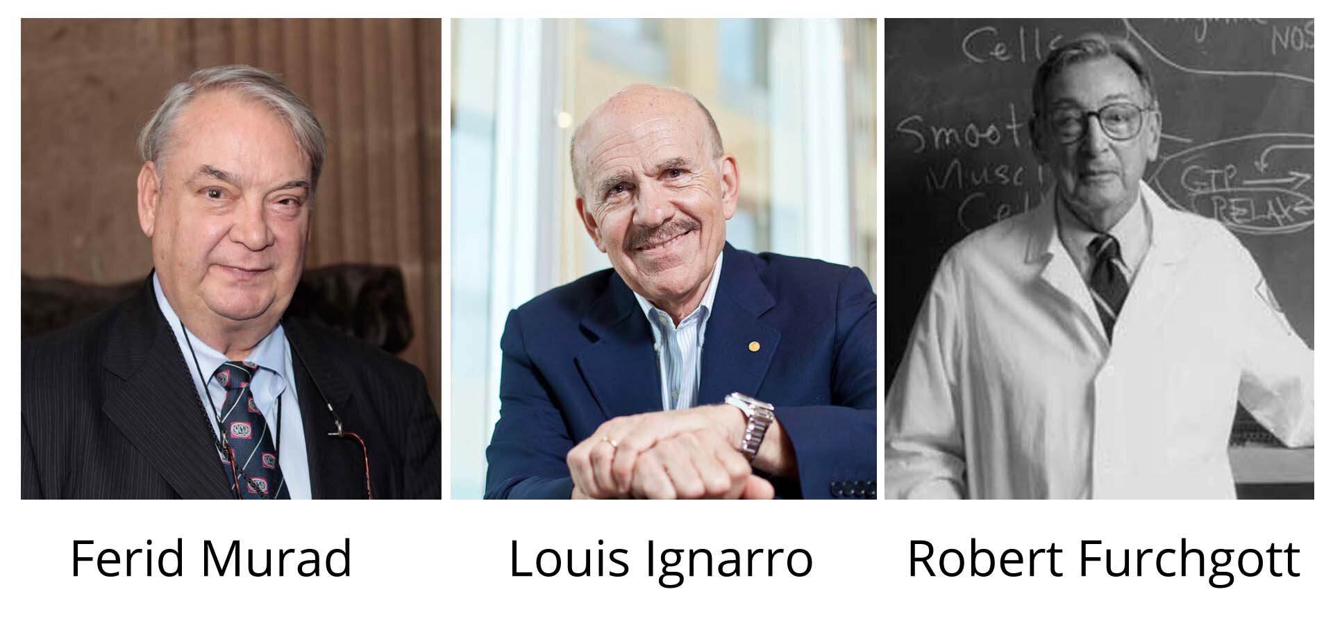 Na ilustracji ukazano kolaż składający się z trzech zdjęć laureatów Nagrody Nobla, kolejno od lewej są to: Ferid Murad, Louis Ignarro, Robert Furchgott. Ferid Murad jest to starszy, łysiejący mężczyzna o siwych włosach i szerokiej twarzy. Ubrany jest w białą koszulę, granatowy krawat we wzory oraz czarną marynarkę. W tle zdjęcia znajduje się brązowa ściana. Louis Ignarro na zdjęciu uśmiecha się i patrzy prosto w obiektyw. Jest to szczupły, łysiejący mężczyzna o nieco ciemniejszych włosach i wąsach. Ubrany jest w białą koszulę i granatową marynarkę. Założone jedna na drugiej dłonie opiera o coś, co znajduje się poza kadrem. Tło fotografii jest rozmyte, przypomina ścianę budynku z wieloma oknami. Zdjęcie, na którym ukazano Roberta Furchgotta jest czarno‑białe. Jest to starszy mężczyzna o ciemnych, lekko siwiejących włosach. Na nosie nałożone ma okulary. Ubrany jest w białą koszulę, ciemny krawat i biały fartuch laboratoryjny. W tle znajduje się tablica z zapisanymi białą kredą słowami i strzałkami.