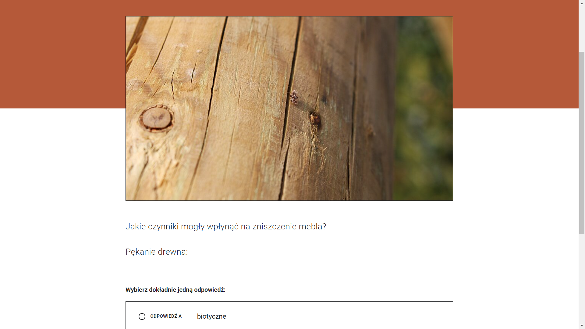 Przykładowy ekran z zadaniem