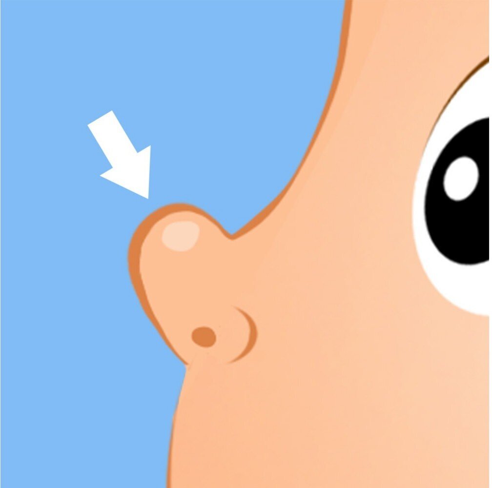 Ilustracja przedstawia nos.