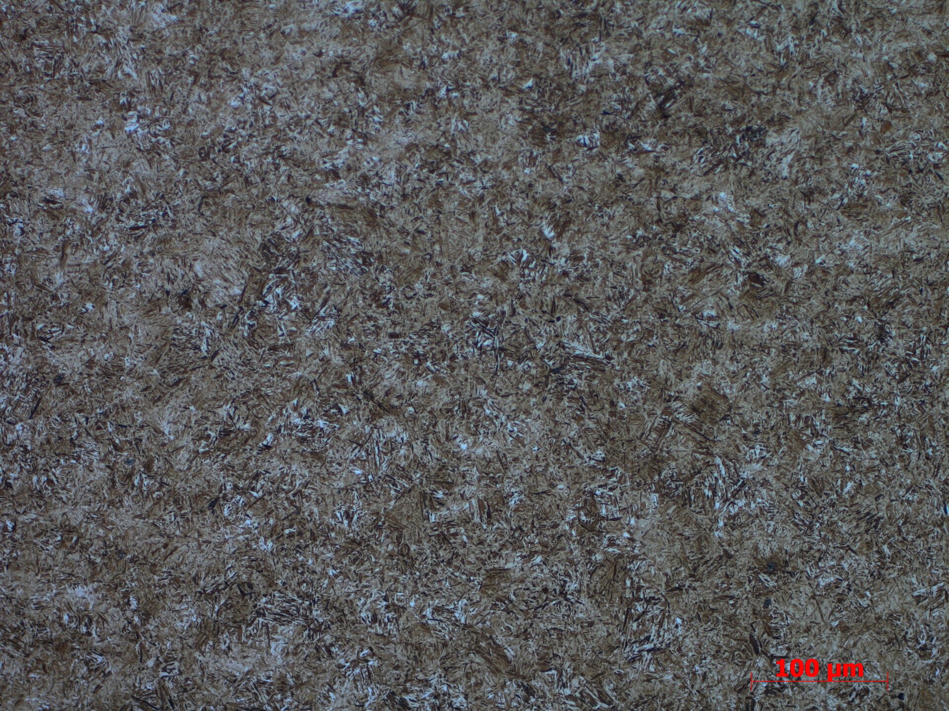 Mikrostruktura martenzytyczna
Powiększenie 20x