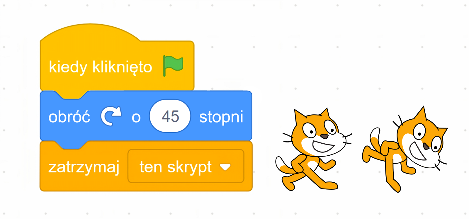 Na ekranie znajduje się skrypt obracający duszka w prawo o czterdzieści pięć stopni po kliknięciu zielonej flagi. Na ekranie, po lewej stronie, znajduje się blok stworzony z trzech elementów. Na samej górze jest klocek z napisem ‘kiedy kliknięto’ oraz ikoną zielonej flagi. Poniżej znajduje się element z komendą ‘ustaw kierunek na czterdzieści pięć’. Na samym dole jest klocek z napisem 'zatrzymaj ten skrypt', który kończy blok.
Po prawej stornie są dwie animacje kota‑duszka. Jedna postać jest ustawiono pionowo, natomiast druga według komendy wydanej przez skrypt, tj. pod kątem czterdziestu pięciu stopni.
