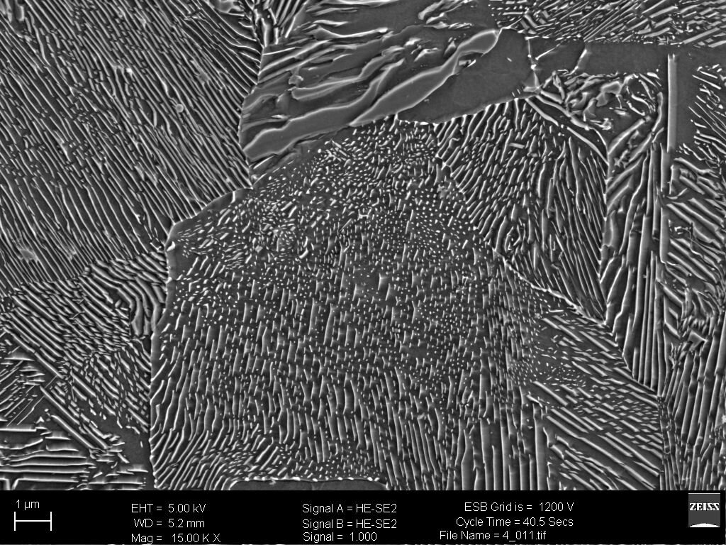 Stop o zawartości węgla 0,77%
 W strukturze perlitu widoczne płytki cementytu i ferrytu - zdjęcie wykonane na mikroskopie SEM