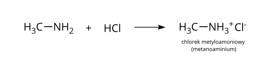 Na ilustracji ukazano schemat reakcji: H indeks dolny, trzy, koniec indeksu dolnego, C wiązanie pojedyncze N H indeks dolny, dwa, koniec indeksu dolnego plus H C l strzałka w prawo H indeks dolny, trzy, koniec indeksu dolnego, C wiązanie pojedyncze N H, indeks dolny, trzy, koniec indeksu dolnego, indeks górny, plus, koniec indeksu górnego, C l indeks górny, minus, koniec indeksu górnego (chlorek metyloamoniowy (metanoaminium)).