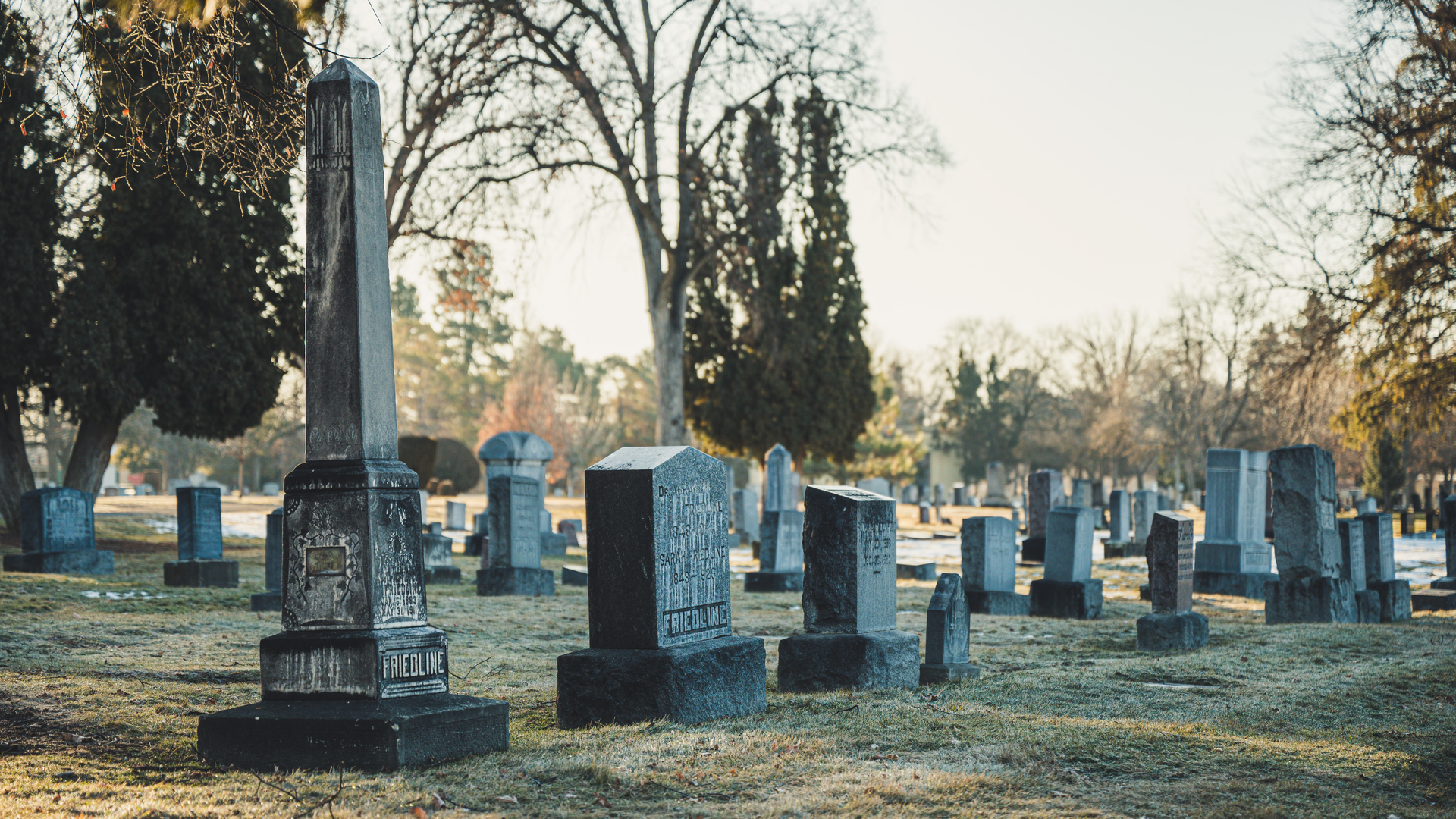 Zdjęcie przedstawia cmentarz. Widoczne są różne rodzaje nagrobków, trawa, drzewa.