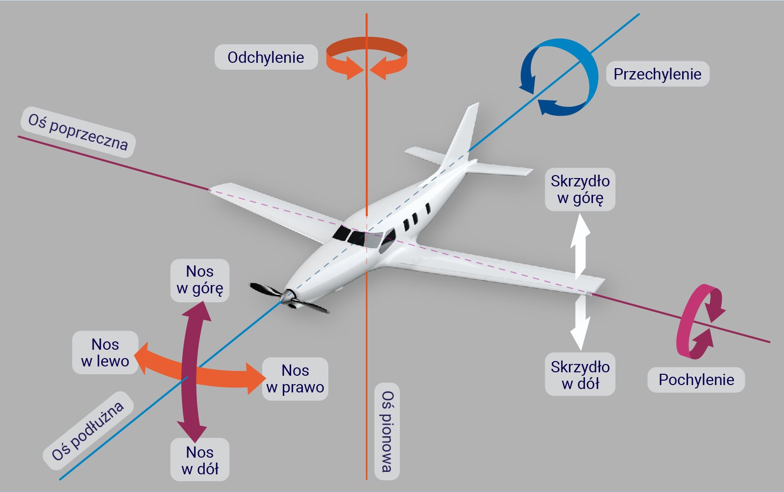 Ilustracja przedstawia możliwe ruchy wykonywane przez samolot zorientowane względem wybranych osi. Na rysunku schematycznie zaprezentowano samolot i naniesiono osie: pionową, poprzeczną i podłużną. Oś pionowa przechodzi przez środek ciężkości samolotu i zorientowana jest pionowo. Wokół niej możliwy jest ruch nosa samolotu w prawo lub w lewo. Oś podłużna przechodzi przez środek ciężkości samolotu, wzdłuż kadłuba, to jest przez jego przód i tył. Wokół niej ma miejsce przechylanie się samolotu. Oś poprzeczna zorientowana jest wzdłuż skrzydeł samolotu i przechodzi przez środek ciężkości przecinając pozostałe osie pod kątem prostym. Ruch wokół osi poprzecznej umożliwia pochylenie samolotu, to znaczy ruch nosa w górę lub w dół. Oprócz ruchów względem wymienionych osi możliwy jest również ruch skrzydeł samolotu w górę lub w dół.