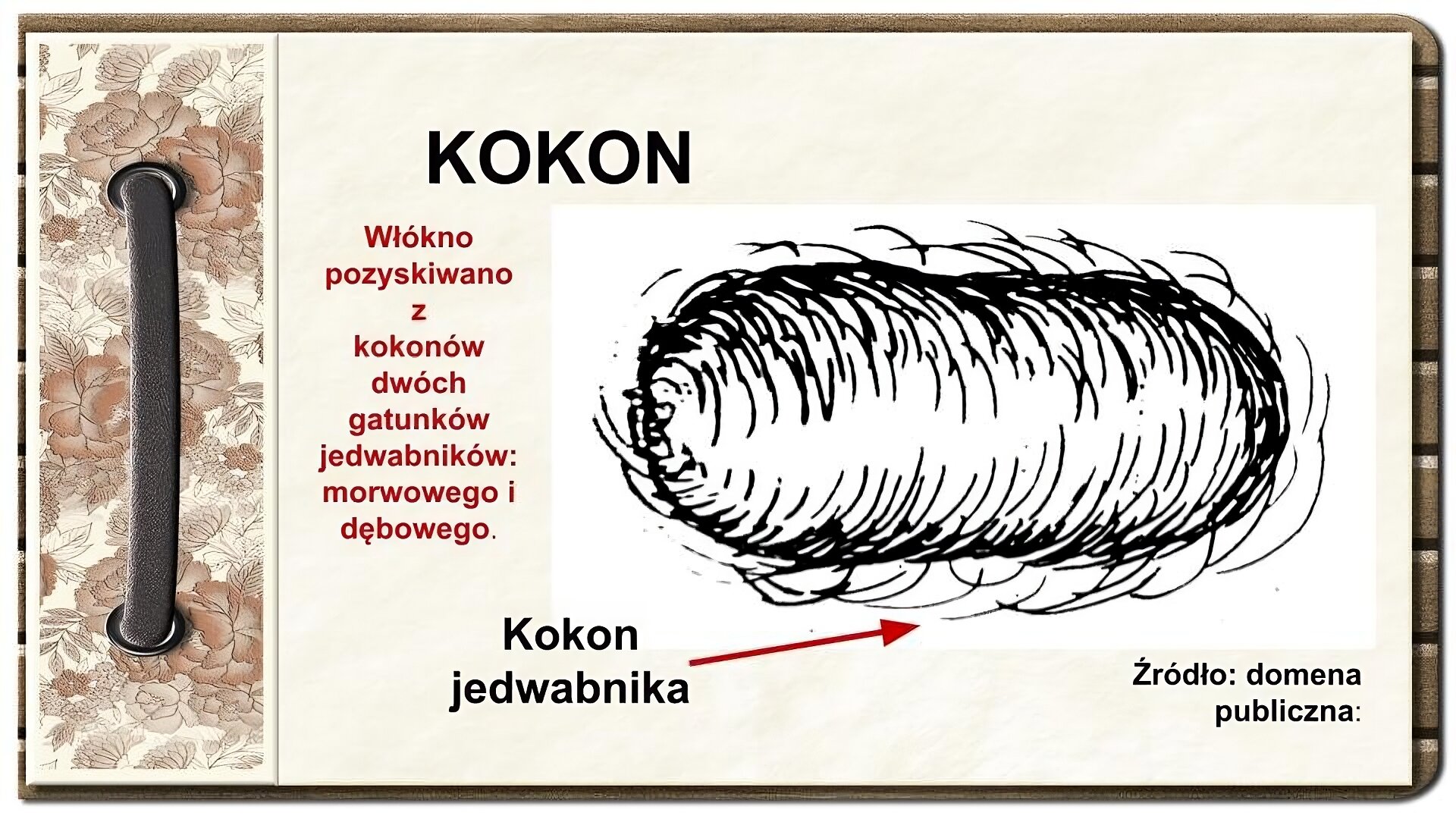 Slajd zatytułowany „Kokon”. Tekst na slajdzie: Włókno pozyskiwano z kokonów dwóch gatunków jedwabników: morwowego i dębowego. Po prawej stronie rysunek czarno -biały przedstawia kokon jedwabnika w kształcie podłużnej, oplecionej niciami fasoli. Po lewej stronie ornament zdobiący slajd w formie motywów roślinnych, na których nałożono stylizowaną, metalową obwódkę spinającą stronę.