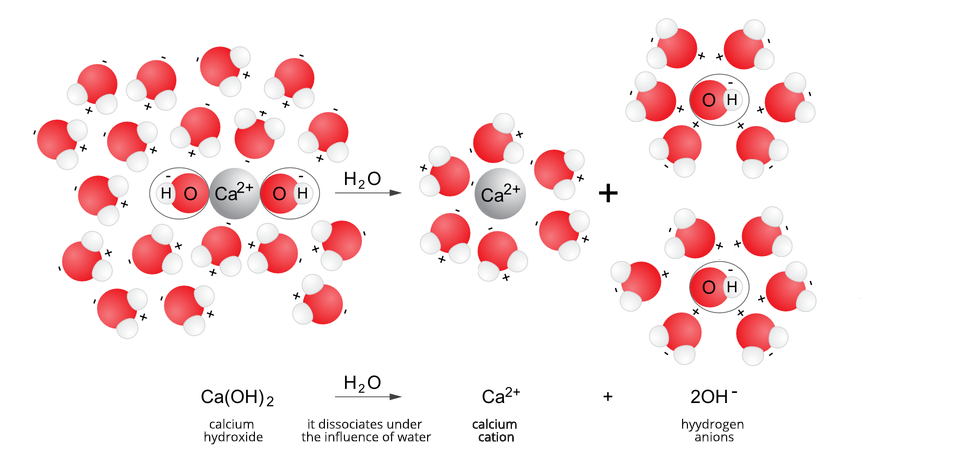 Grafika przedstawia proces dysocjacji elektrolitycznej wodorotlenku wapnia. Wodorotlenek wapnia, calcium hydroxide dysocjuje pod wpływem działania wody, it dissociates under the influence of water i daje w wyniku reakcji kation wapnia, calcium cation oraz dwa aniony wodorotlenkowe, hydroxide anions. Równanie: ca o ha dwa razy wzięte strzałka w prawo, nad strzałką zapis ha dwa o, dalej ca 2 plus dodać dwa o ha minus