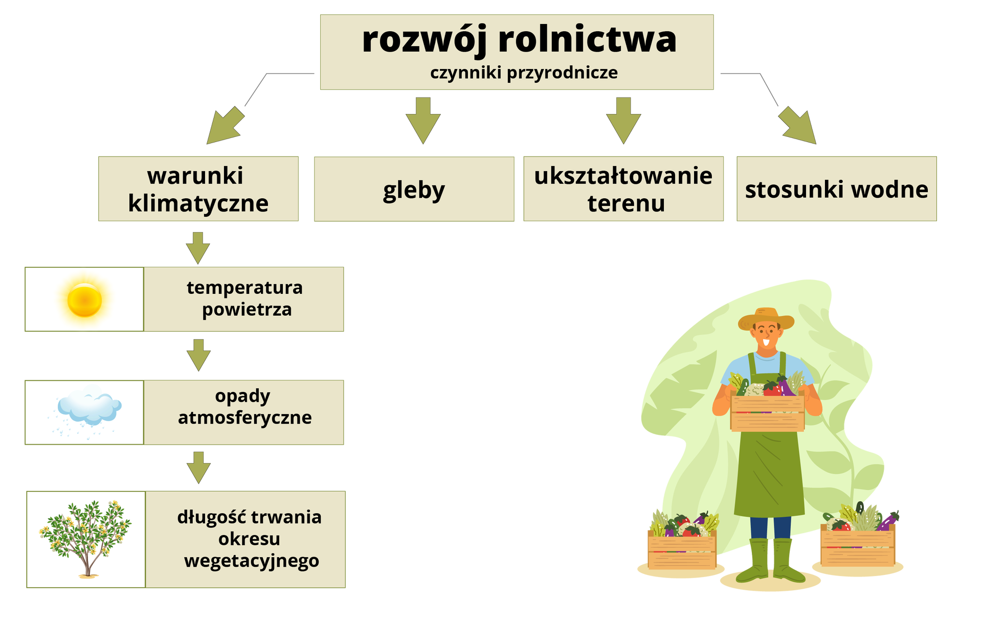 Diagram przedstawia czynniki przyrodnicze mające wpływ na rozwój rolnictwa. Z diagramu można odczytać, że pierwszym czynnikiem są warunki klimatyczne: temperatura powietrza, opady atmosferyczne oraz długość trwania okresu wegetacyjnego. Inne czynniki mające wpływ na rozwój rolnictwa to gleby, ukształtowanie terenu oraz stosunki wodne.
