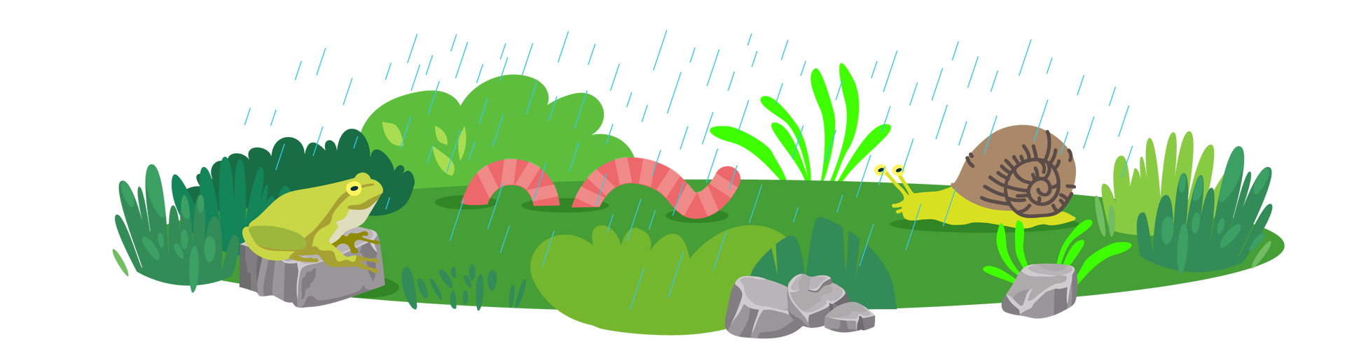 Ilustracja przedstawia fragment zielonej polany z pojedynczymi kępkami (czyli skupiskami) wysokiej trawy i krzewami. Gdzieniegdzie leżą szare kamienie. Na jednym z nich, znajdującym się po lewej stronie ilustracji, siedzi zielona żaba. Dalej na prawo widać różową dżdżownicę. Jest to podłużny robak o ciele w kolorze jasnoróżowym. Po prawej stronie ilustracji znajduje się duży ślimak z brązową muszlą.