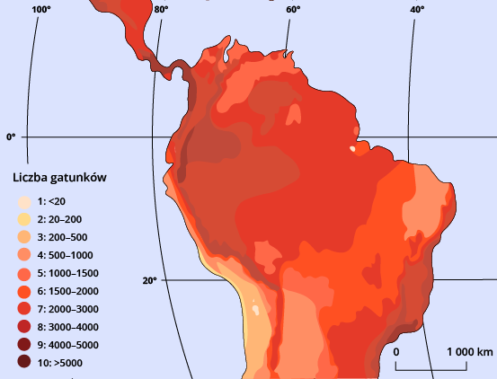 Mapa przedstawia liczbę gatunków roślin na powierzchni 10 tys. km2 na terenie Puszczy Amazońskiej. W większości rejonów przekracza liczbę 1000, w niektórych okolice sięga do 5000