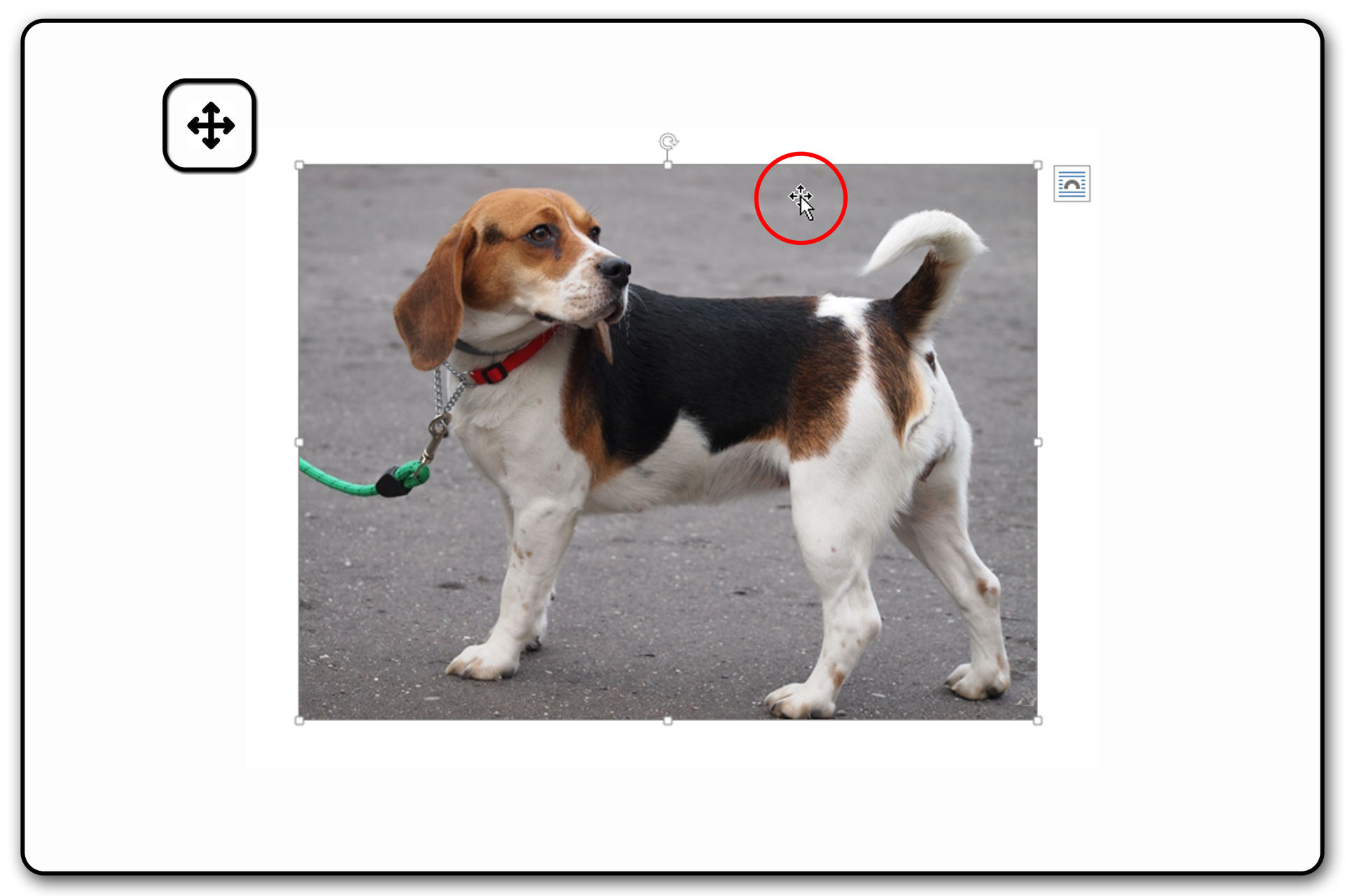 Zrzut ekranu przykładowej prezentacji ze zdjęciem i widocznym kursorem myszy nad zaznaczonym obrazem. Na zrzucie jest pies.