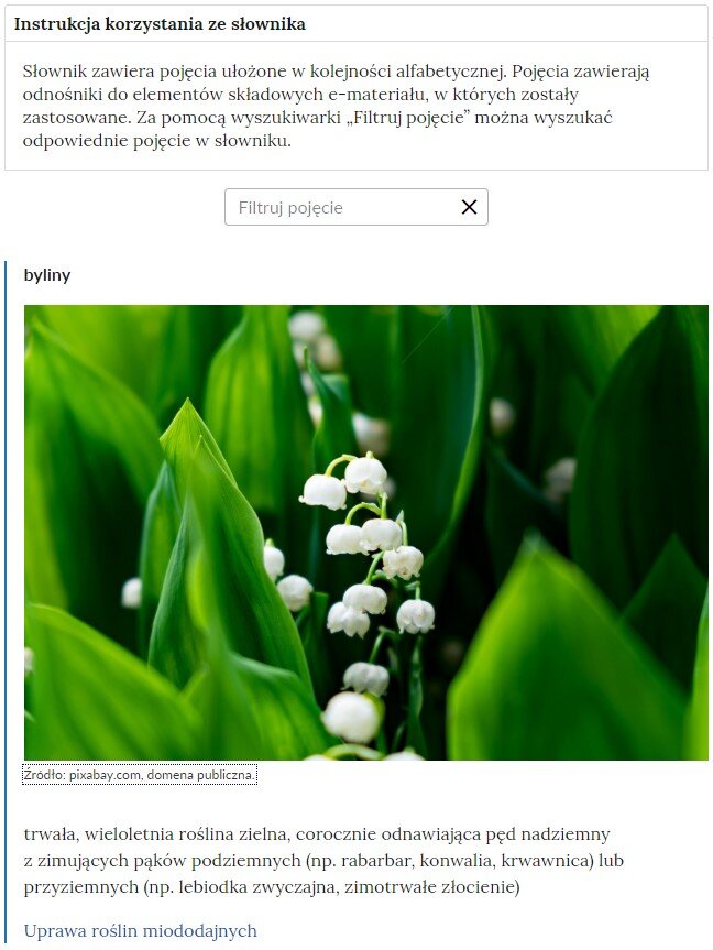 Grafika przedstawia widok na górną część słownika z polem filtrowania haseł. Na górze znajduje się instrukcja korzystania ze słownika o treści: Słownik zawiera pojęcia ułożone w kolejności alfabetycznej. Pojęcia zawierają odnośniki do elementów składowych e‑materiału, w których zostały zastosowane. Za pomocą wyszukiwarki “Flirtuj pojęcie” można wyszukać odpowiednie pojęcie w słowniku. Pod instrukcją znajduje się pole służące do wyszukiwania haseł. Na dole widoczna jest definicja hasła byliny.