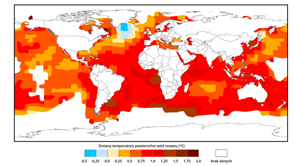Mapa świata ilustruje zmiany temperatury przypowierzchniowych wód oceanu w latach 1901 - 2015. Kontynenty zaznaczone są kolorem białym, a morza i oceany oznaczone są strefowo różnymi kolorami, głownie odcieniami koloru pomarańczowego i czerwieni. Pod mapą znajduje się legenda podpisana jako zmiany temperatury powierzchni wód oceanu w stopniach Celsjusza. Kolor niebieski to zmiana na poziomie -0,5 do -0,25 stopni Celsjusza, a kolor błękitny od -0,25 do 0 stopni Celsjusza. Dalej na legendzie pojawia się kolor żółty – zmiana od 0 do 0,25 stopni Celsjusza , kolejno pomarańczowy – zmiana od 0,25 do 0,5 stopni Celsjusza, kolor ciemnopomarańczowy – zmiana od 0,5 do 0,75 stopni Celsjusza, kolor jaskrawoczerwony – zmiana od 0,75 do 1 stopnia Celsjusza, kolor czerwony – od 1 do 1,25 stopni Celsjusza, kolor ceglastoczerwony – od 1,25 do 1,5 stopni Celsjusza, kolor ciemnoczerwony – od 1,5 do 1,75 stopni Celsjusza i kolor bordowy – od 1,75 do 2 stopni Celsjusza. Kolor bordowy występuje punktami u północnych wybrzeży Ameryki Północnej, kolor ceglastoczerwony u południowych wybrzeży Ameryki Południowej oraz zachodnich i południowych wybrzeży Afryki. Kolor czerwony w różnych odcieniach spotyka się na większości powierzchni oceanów, a kolor pomarańczowy na znacznej części Oceany Spokojnego. Kolor żółty występuje na mapie jedynie w okolicach Grenlandii – bliżej brzegu zmienia się w kolor błękitny i niebieski. 