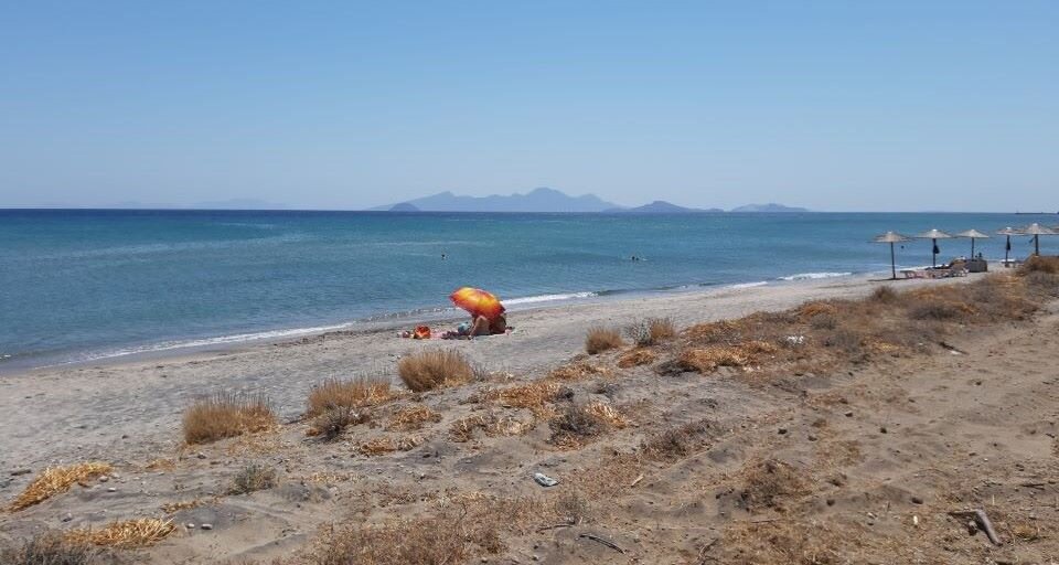 Ilustracja przedstawia fotografię pejzażu nadmorskiego. W kadrze znajdują się: na pierwszym planie suche kępy traw, dalej piaszczysta plaża, za nią morze oraz błękitne niebo. Dodatkowo, na środku, widoczny jest parasol plażowy w intensywnym pomarańczowym kolorze - stanowi wyraźny akcent kolorystyczny.