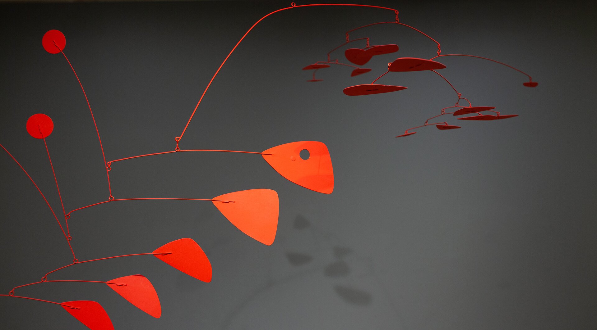 Rzeźba umieszczona na szarym tle, została stworzona z czerwonych blaszek oraz czerwonego drutu. Podstawę konstrukcji stanowi cienki, wygięty drut, na którego rozgałęzieniach przymocowano trójkątne oraz okrągłe blaszki. Jedna z blaszek, umieszczona pośrodku fotografii, posiada okrągły otwór. Część pracy jest widoczna z boku.