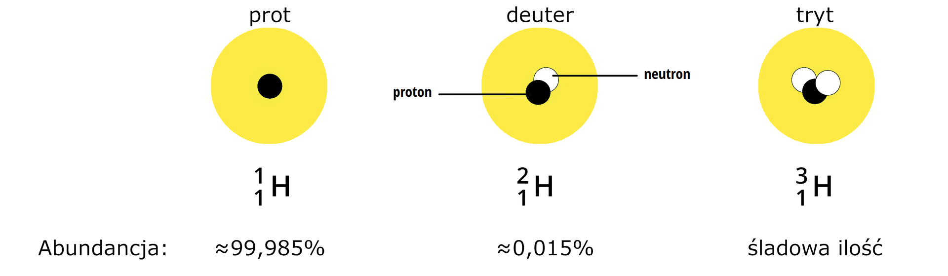 Ilustracja przedstawia izotopy wodoru wraz z ich procentową zawartością. Po lewej stronie znajduje się model protu: składa się z jednego protonu w centrum, otoczonego chmurą elektronową, przedstawioną tu jako żółte koło. Symboliczny zapis to jeden jeden H, a abundancja wynosi 99,985%. Po środku znajduje się model deuteru: w jądrze znajduje się jeden proton i jeden neutron, zapis symboliczny to dwa jeden H, a abundancja wynosi 0,015%. Po prawej stronie umieszczono model trytu: w jądrze znajduje się jeden proton i dwa neutrony, zapis symboliczny to trzy jeden H, a abundancja to śladowa ilość.