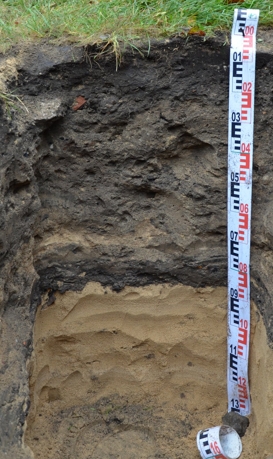 Na zdjęciu jest profil glebowy. Od góry znajduje się poziom czarnej ziemi, niżej głęboki poziom ziemi szaroburej. Niżej jest warstwa jasnobrązowa, wyraźnie piaskowa.