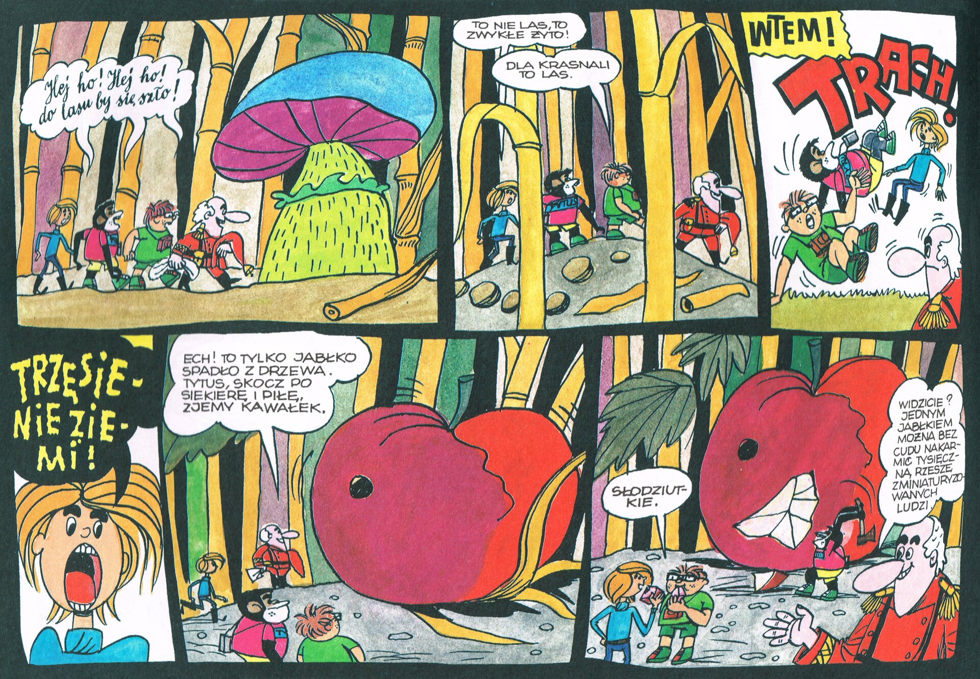 Zorientowana poziomo strona z komiksu „Tytus, Romek i A'Tomek” zawierająca sześć ilustracji na czarnym tle. Są one takiej samej wysokości, natomiast różnią się szerokością i ułożone zostały po trzy, w dwóch rzędach.
Pierwsza od góry z lewej, szeroka, pozioma ilustracja przedstawia w dolnej części bohaterów komiksu idących od lewej krawędzi komiksu ku jego środkowi. Poruszają się gęsiego, czyli jeden za drugim, za uśmiechniętym starszym panem w czerwonej kurtce ze złotymi epoletami na ramionach i spodniach tej samej barwy, które są wpuszczone w czarne buty z wysokimi cholewami. Jegomość ów ma długi nos, łysinę okoloną z tyłu siwymi, dość długimi, lokowanymi włosami. Przez lewe przedramię przewiesił spiczastą, długą czerwoną czapkę z dzwonkiem na końcu. To Krasnoludek. W lewej dłoni ściska biały worek. Za nim postępuje A’Tomek z aparatem fotograficznym zawieszonym na szyi. To dość gruby chłopak z ciemnorudą nastroszoną czupryną. Ubrany jest na zielono w koszulkę z krótkimi rękawami, szorty i buty ponad kostkę. Idący za nim w podobnych butach szympans w czerwonej koszulce z napisem TYTUS na piersiach. Na końcu Romek. Szczupły z długimi zaczesanymi na bok blond włosami, których grzywka zasłania pół twarzy. Jego obcisły turkusowy golf ma długie rękawy. Wąskie czarne spodnie są wpuszczone w czarne buty z wysokimi cholewami. Przed nimi z prawej strony wyrasta ogromny grzyb o jasnozielonej nodze z ciemniejszą falbanką poniżej bordowych blaszek niebieskiego kapelusza. Na prawo od trzonu grzyba na ziemi ścięte źdźbło trawy grubości sporej gałęzi. W tle las grubych, niczym pnie drzew, żółtych łodyg traw z wyrastającymi z nich liśćmi. Nad głowami bohaterów komiksu dymek z tekstem śpiewanej przez nich piosenki: „Hej ho! Hej ho! Do lasu by się szło!” 
Druga, kwadratowa ilustracja przedstawia na pierwszym planie dwa grube źdźbła, a za nimi całą czwórkę wędrującą w takiej samej kolejności przez las traw po ziemi usłanej kamykami i kawałkami roślin. W dymku nad A’Tomkiem: „Dla krasnali to las”. W dymku nad Romkiem: „To nie las, to zwykłe żyto”.
Trzecia, wąska pionowa ilustracja, ostatnia w górnym rzędzie mieści u góry w lewym rogu w żółtej ramce czarny napis „WTEM”, a niżej na całą szerokość obrazka, drugi duży, z czerwonych liter różnej wielkości „TRACH!” Pod nim, unoszą się w powietrzu nad zieloną trawą chłopcy i Tytus. Przygląda się im Krasnoludek, którego głowa z wielkim nosem zwrócona w lewo, ukazana została w dolnym prawym narożniku.
Drugi rząd otwiera najwęższa z ilustracji, przedstawiająca głowę Romka z bardzo szeroko otwartymi ustami, w których widać duży czerwony język i białe zęby. W stronę czytelnika chłopiec krzyczy „TRZĘSIENIE ZIEMI!”, co zapisano żółtymi literami w czarnym dymku nad jego głową.
Piąta ilustracja, szeroka pozioma ukazuje u dołu szarą, gołą ziemię na skraju lasu żyta. Z lewej strony niewielkie postaci bohaterów komiksu, a z prawej ogromne, wielkości domku jednorodzinnego, czerwone jabłko z czarnym okrągłym otworkiem w skórce z lewej strony i ogonkiem sterczącym ku górze. Spod jabłka wystają przygniecione liście zboża. Nad krasnoludkiem na tle łodyg i zielonego liścia biały dymek z napisem: „ECH! TO TYLKO JABŁKO SPADŁO Z DRZEWA, TYTUS SKOCZ PO SIEKIERĘ I PIŁĘ, ZJEMY KAWAŁEK”.
Szósta, ostatnia ilustracja u dołu. Trochę węższa od poprzedniej. Przedstawia podobny obraz z jabłkiem na tle lasu zboża. Tytus zajęty jest wyrąbywaniem kawałków jabłka. Z lewej strony w narożniku zajadają się owocem Romek i na prawo od niego A’Tomek, nad którym dymek zawiera napis „SŁODZIUTKIE”. W prawym narożniku na pierwszym planie w zbliżeniu krasnal, ukazany nieco powyżej pasa lewym półprofilem, z uniesioną prawą dłonią. Nad nim w dymku: „WIDZICIE? JEDNYM JABŁKIEM MOŻNA BEZ CUDÓW NAKARMIĆ TYSIĘCZNĄ RZESZĘ ZMINIATURYZOWANYCH LUDZI”.
