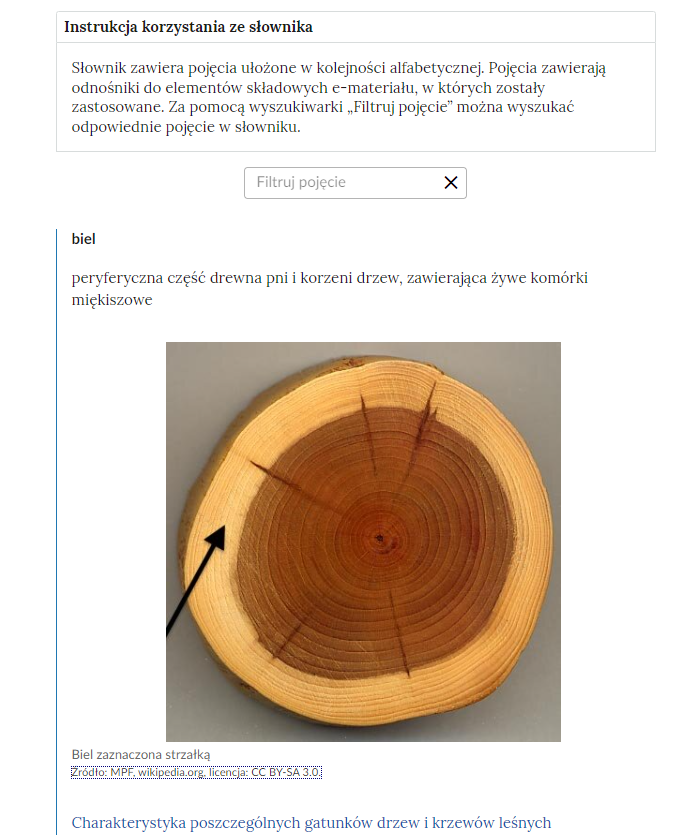 Grafika ilustrująca fragment słownika z częścią umożliwiającą filtrację pojęć. Na samej górze umieszczona jest instrukcja korzystania ze słownika. Zawarta jest w niej następująca informacja: „Słownik zawiera pojęcia ułożone w kolejności alfabetycznej. Pojęcia zawierają odnośniki do elementów składowych e‑materiału, w których zostały zastosowane. Za pomocą wyszukiwarki „Filtruj pojęcie” można wyszukać odpowiednie pojęcie w słowniku”. Pod instrukcją korzystania ze słownika umieszczone zostało pole w kształcie prostokąta. Wewnątrz znajduje się napis: filtruj pojęcie oraz umieszczony z boku przycisk w kształcie krzyżyka. Na samym dole znajduje się pierwsze pojęcie ze słownika. Dotyczy ono biela.