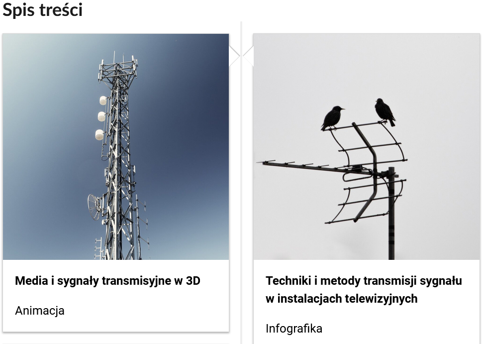 Grafika przedstawia przykładowy wygląd spisu treści. Są to dwa prostokątne kafelki ułożone obok siebie. W górnej części znajdują się zdjęcia okładkowe. Pod pierwszą grafiką znajduje się tytuł Media i sygnały transmisyjne w 3D Animacja. Pod drugą grafiką widoczny jest tytuł Techniki i metody transmisji sygnału w instalacjach telewizyjnych, niżej: Infografika.