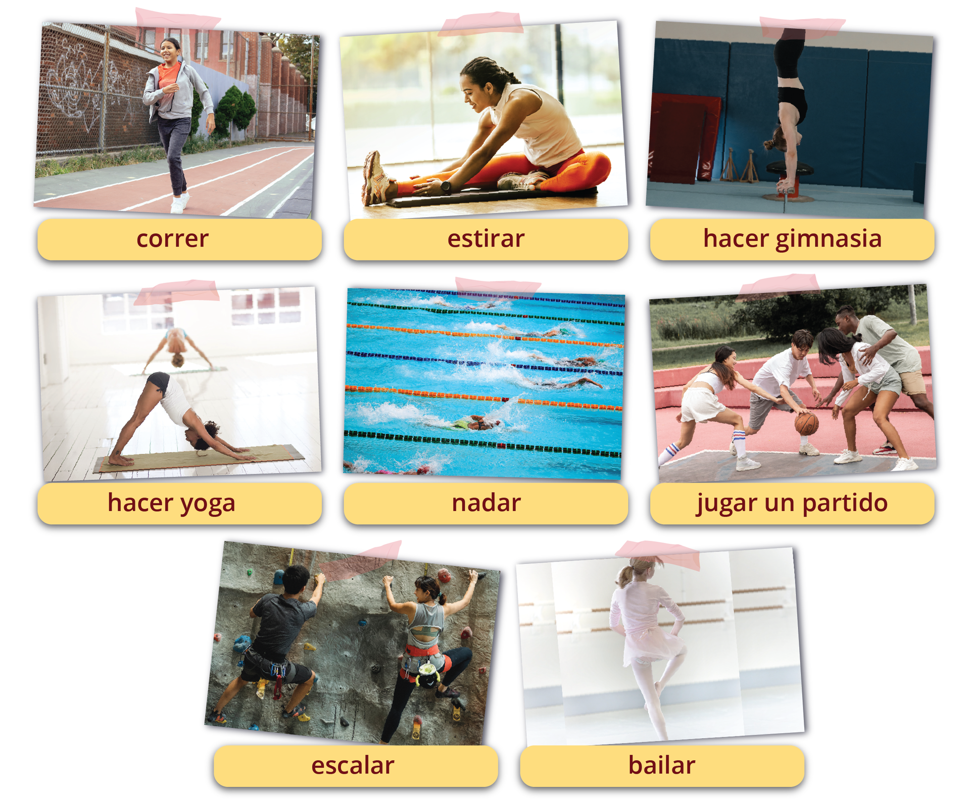 Na grafice znajduje się osiem zdjęć przedstawiających aktywności realizowane na lekcjach wychowania fizycznego. Każde zdjęcie jest podpisane.
Kolejno znajdują się: zdjęcie przedstawiające dziewczynkę biegnącą po bieżni. Podpis: correr; 
zdjęcie przedstawiające nastolatkę siedzącą na macie i rozciągającą się. Podpis: estirar;
zdjęcie przedstawiające osobę stojącą na rękach. Podpis: hacer gimnasia;
zdjęcie przedstawiające kobietę ćwiczącą jogę. Podpis: hacer yoga;
zdjęcie przedstawiające basen sportowy, na którego torach płyną zawodnicy. Podpis: nadar;
zdjęcie przedstawiające grupę nastolatków grających na dworze w koszykówkę. Podpis: jugar un partido; 
zdjęcie przedstawiające dwie osoby wspinające się na ściance wspinaczkowej. Podpis: escalar; 
zdjęcie przedstawiające nastolatkę na sali tanecznej. Dziewczyna ćwiczy pozę taneczną. Podpis: bailar. 