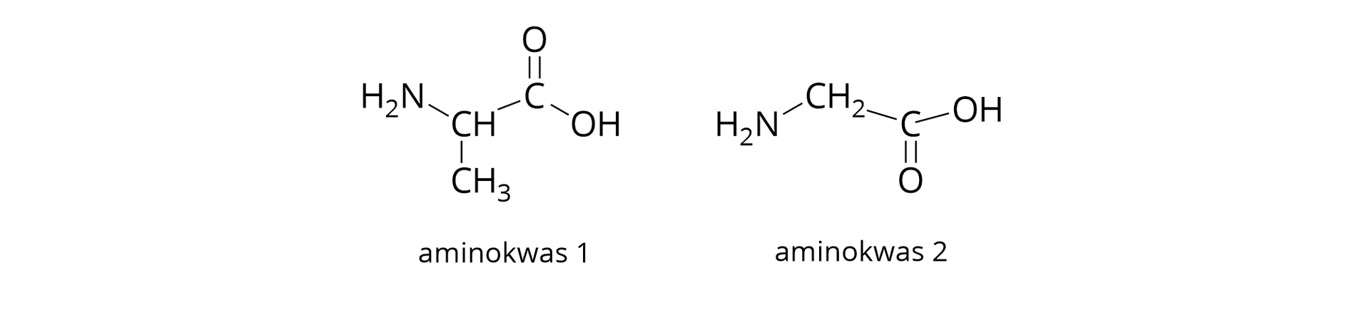 Wzór przedstawia budowę cząsteczki pewnego dipeptydu. Został on utworzony w wyniku reakcji kondensacji dwóch aminokwasów o ukazanych wzorach.