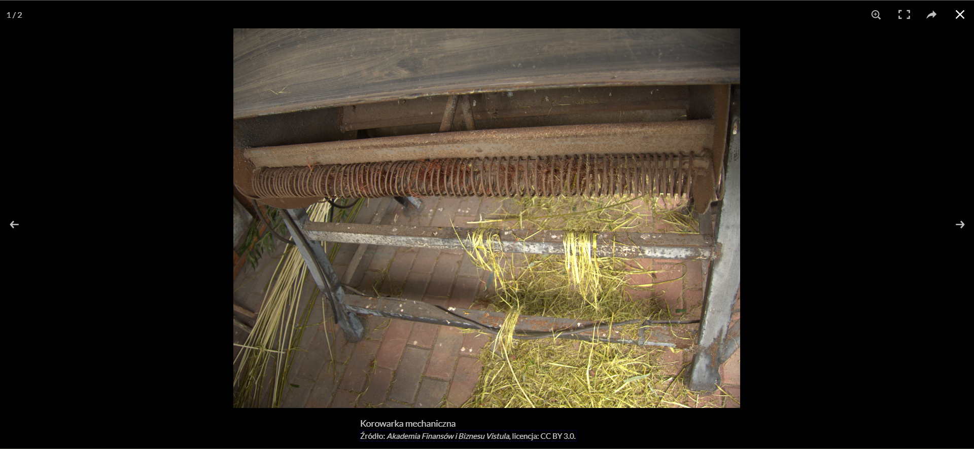 Grafika przedstawia widok pełny zdjęcia. na którym widoczna jest korowarka. W dolnej części znajduje się podpis. Po bokach są strzałki nawigacyjne, a w górnej części ikony służące do powiększenia, trybu pełnoekranowego, udostępnienia oraz zamknięcia okna.
