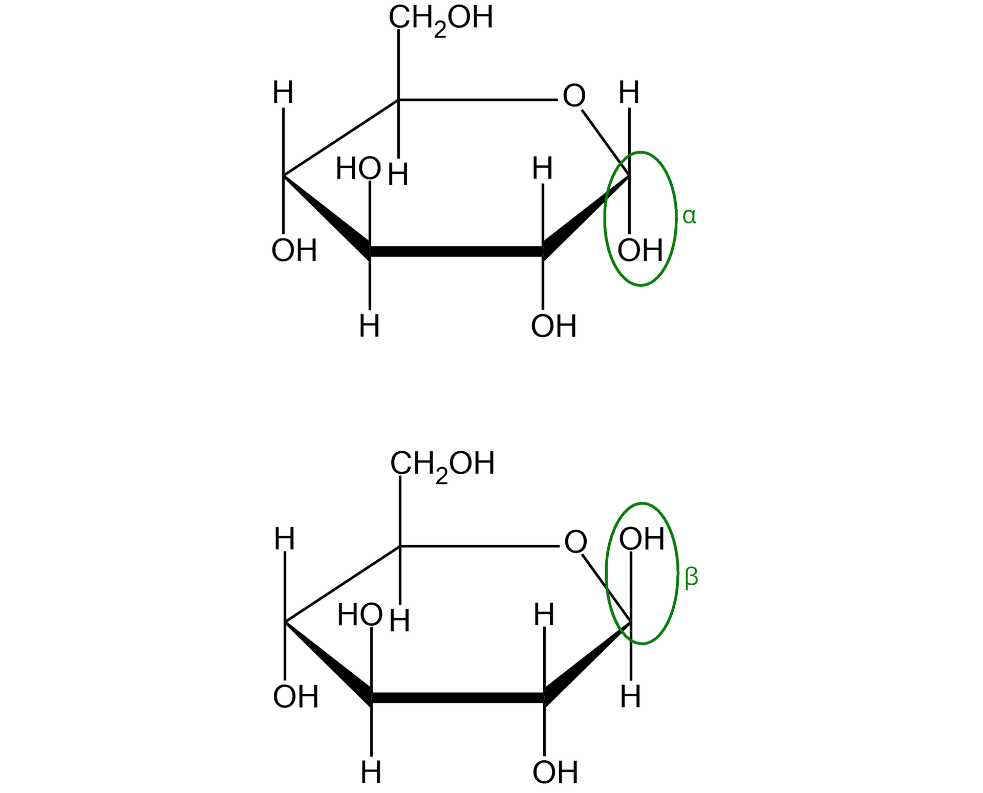 Ilustracja przedstawiająca anomery glukozy - alfa oraz beta. We wzorze glukozy alfa i beta zaznaczono grupy hydroksylowe wraz z anomerycznymi atomami węgla. W glukozie w formie alfa grupa OH odchodzi do dołu od pierwszego atomu węgla, w formie beta do góry. Struktura alfa‑D-glukopiranozy zbudowana jest z sześcioczłonowego pierścienia składającego się z pięciu atomów węgla oraz z jednego atomu tlenu. Numeracja atomów węgla jest zgodna z ruchem wskazówek zegara. Przy atomach węgla C 1, C 2 oraz C 4 znajdują się grupy hydroksylowe OH wychodzące za płaszczyznę, zaś atomy wodoru przed. Przy węglu C 3 grupa hydroksylowa wychodzi przed płaszczyznę, zaś atom wodoru za. Węgiel C 5 podstawiony jest grupą CH2OH wychodzącą przed płaszczyznę oraz atomem wodoru znajdującym się za płaszczyzną. W przypadku anomeru beta glukozy grupa hydroksylowa OH znajduje się przed płaszczyzną, pozostałe podstawniki zlokalizowane są analogicznie jak w przypadku opisanego już anomeru alfa.
