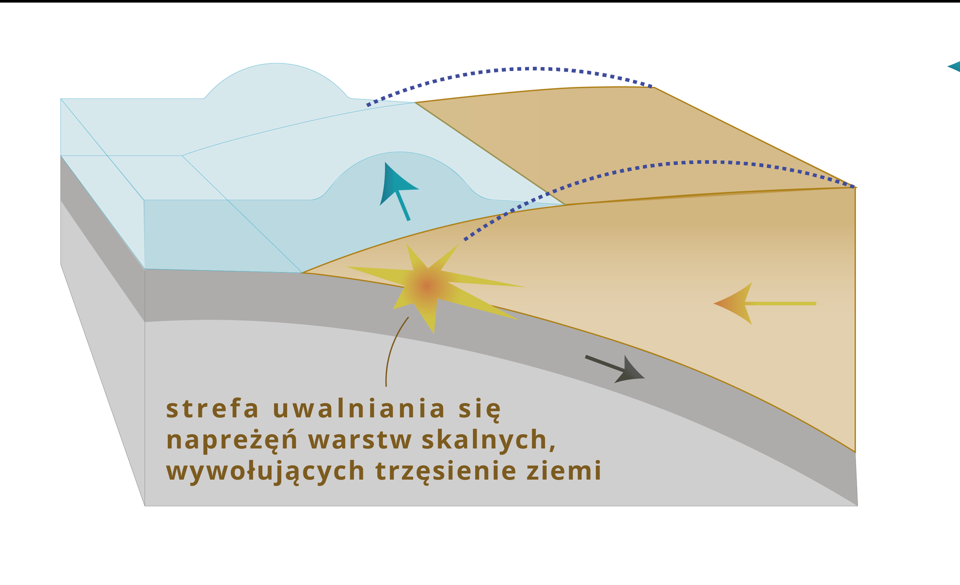 Na ilustracji w miejscu nacierania na siebie dwóch płyt oznaczono miejsce, w którym następują naprężenia powodujące trzęsienie ziemi. Znajduje się ono na początku zetknięcia się płyty oceanicznej z kontynentalną. Bezpośrednio na tym miejscem pojawia się strefa uwalniania naprężeń warstw skalnych, wywołujących trzęsienie ziemi. Powyżej tego miejsca znajduje się unosząca się fala, tuż przy linii wybrzeża.