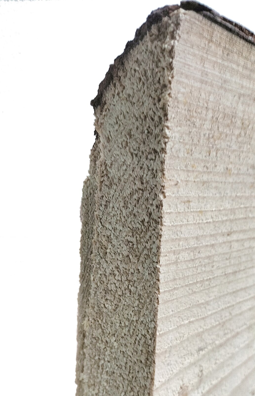 Zdjęcie przedstawia zbliżenie na deskę świerkową. Widoczny jest bok przeciętej jasnobrązowej deski z poszarpaną powierzchnią cięcia, zaś na dłuższym boku widoczne są poziome linie obrazujące ślady po obróbce drewna. W górnej części ciemnobrązowa warstwa kory.