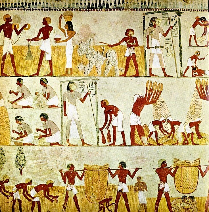 Ilustracja przedstawia malowidło ścienne z czasów starożytnego Egiptu. W trzech pasach umieszczone są postacie niewolników przy pracach polowych. Poprzez różnice wielkości ukazana jest ich ważność. Zastosowana perspektywa rzędowa (inaczej: pasowa) w sposób umowny pokazuje przestrzeń: w pasie najniższym znajduje się plan pierwszy. Możemy dostrzec kanon przedstawiania postaci w malarstwie starożytnego Egiptu: głowa z profilu, oko na wprost, tułów na wprost, nogi i ręce z boku. Postaci są obwiedzione delikatną, ciemną linia konturową i wypełnione płaską plama barwną. Kolorystyka jest jasna, w naturalnych barwach: żółcieni, czerwieni i brązów.