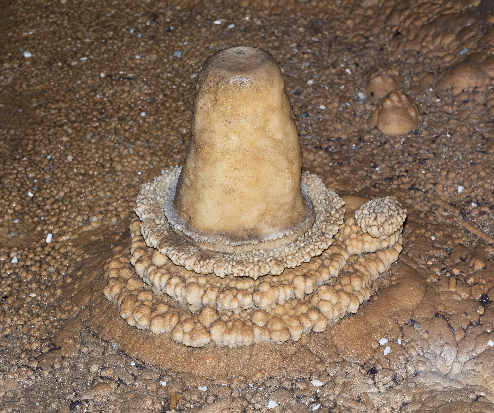 Zdjęcie przedstawia stalagmit - to naciek narastający od dna jaskini. Ma kształt stożka z płaskim wierzchołkiem. U jego podstawy są nacieki tworzące pierścienie zbudowane ze zlepionych kuleczek.   