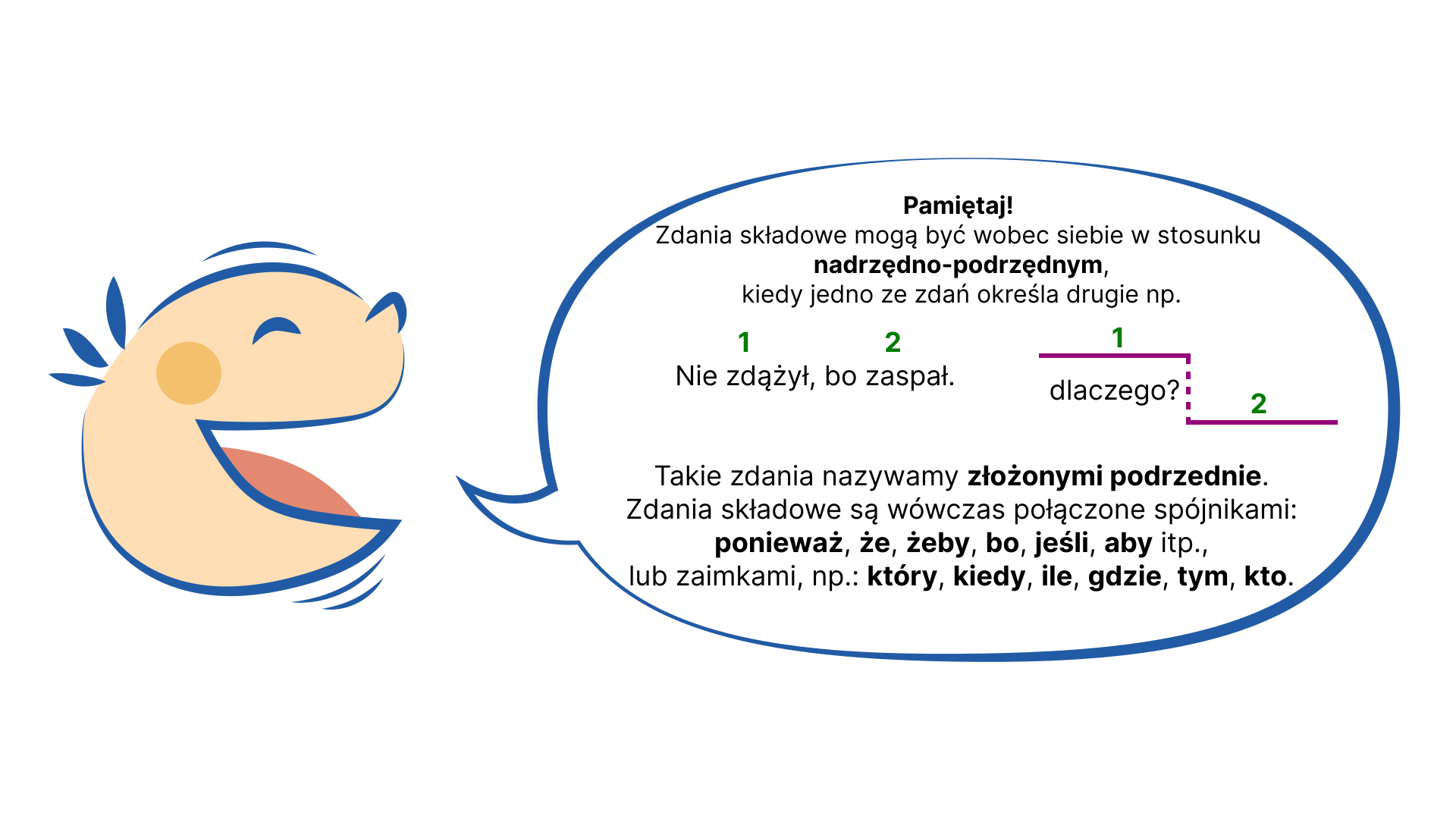 Kliknij, aby powiększyć. Grafika przedstawia uśmiechniętą, dziecięcą twarz, z której ust wydobywa się dymek. Napis w dymku: Pamiętaj! Zdania składowe mogą być wobec siebie w stosunku nadrzędno‑podrzędnym, kiedy jedno ze zdań określa drugie, np. Nie zdążył, bo zaspał. (nad zdaniem "Nie zdążył" znajduje się cyfra 1, nad zdaniem "bo zaspał" - cyfra 2; obok został narysowany wykres zdania złożonego podrzędnie: kreska, nad którą widnieje cyfra 1, od jej prawego zakończenia prowadzi krótka, przerywana linia w dół, obok której widnieje pytanie "dlaczego?", linia styka się z drugą poziomą kreską, nad którą widnieje cyfra 2.; wykres przypomina schodki biegnące w dół). Takie zdania nazywamy zdaniami złożonymi podrzędnie. Zdania składowe są wówczas połączone spójnikami: ponieważ, że, żeby, bo, jeśli, aby itp., lub zaimkami: na przykład: który, kiedy, ile, gdzie, tym, kto.