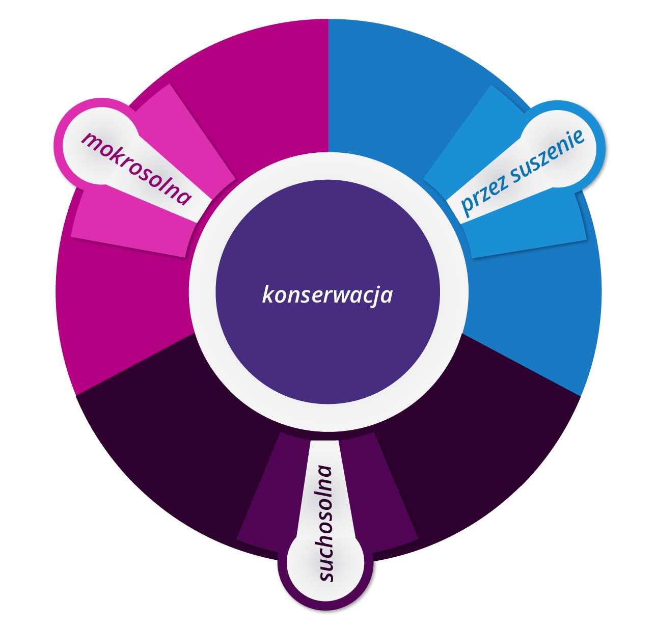 Grafika przedstawia kolorowy okrągły schemat. Pośrodku znajduje się napis konserwacja, a na brzegach koła trzy podłużne pola z napisami: mokrosolna, przez suszenie, suchosolna.