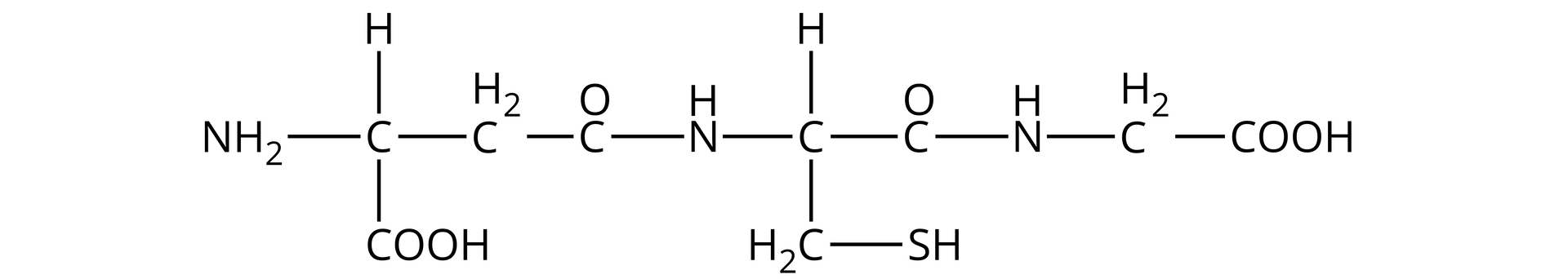 Na ilustracji jest wzór. Opis od lewej strony: atom węgla łączy się z lewej strony z grupą aminową, na dole z grupą COOH, u góry z atomem wodoru, po prawej stronie z grupą metylenową. Grupa metylenowa łączy się z atomem węgla z grupy CO. CO łączy się z atomem azotu z grupy NH. Grupa NH łączy się po prawej stronie z atomem węgla. Ten łączy się u góry z atomem wodoru, a na dole z grupą metylenową, która łączy się z SH. Atom węgla po prawej stronie łączy się z CO. CO łączy się z NH, NH łączy się z grupą metylenową. Grupa metylenowa łączy się po prawej stronie z grupą COOH.  