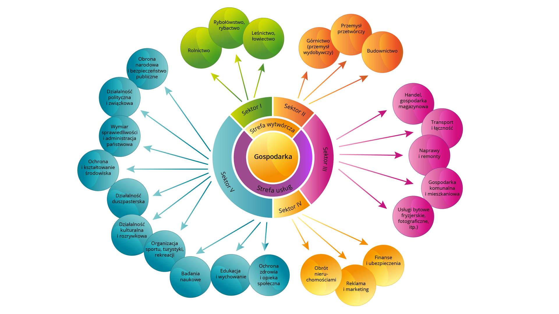 Na schemacie przedstawiono podział gospodarki na strefę wytwórczą i strefę usług. Do strefy wytwórczej należy sektor pierwszy i drugi. Sektor pierwszy: rolnictwo, rybołówstwo i rybactwo, leśnictwo i łowiectwo. Sektor drugi: górnictwo (przemysł wydobywczy), przemysł przetwórczy, budownictwo. W strefie usług wyróżniono sektor trzeci, czwarty oraz piąty. Sektor trzeci: handel, gospodarka magazynowa; transport i łączność; naprawy i remonty; gospodarka komunalna i mieszkaniowa; usługi bytowe, fryzjerskie, fotograficzne i tym podobne. Sektor czwarty: finanse i ubezpieczenia; reklama i marketing; obrót nieruchomościami. Sektor piąty: ochrona zdrowia i opieka społeczna; edukacja i wychowanie; badania naukowe; organizacja sportu, turystyki i rekreacji; działalność kulturalna i rozrywkowa; działalność duszpasterska; ochrona i kształtowanie środowiska; wymiar sprawiedliwości i administracja państwowa; działalność polityczna i związkowa; obrona narodowa i bezpieczeństwo publiczne.