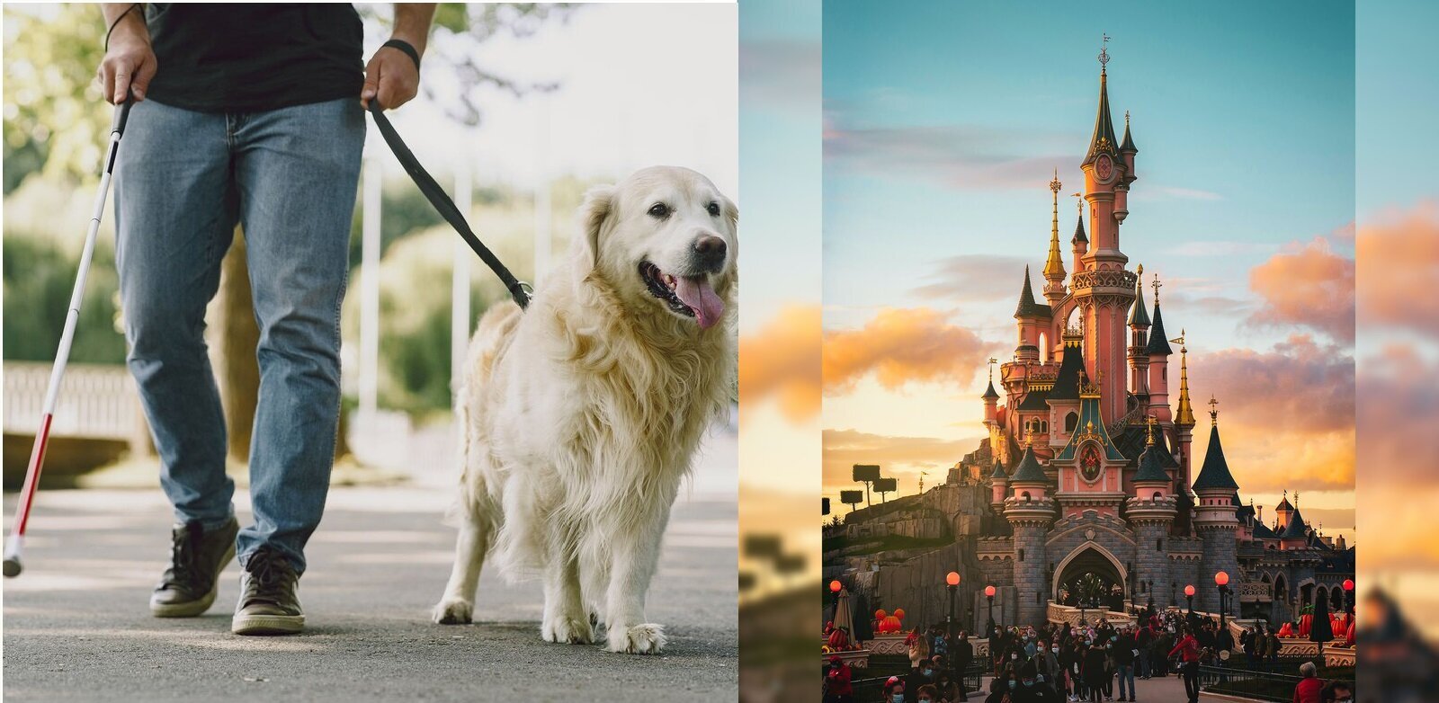 Ilustracja składa się z dwóch zdjęć. Po lewej widoczny jest niewidomy człowiek z laską oraz jego pies przewodnik. Drugie zdjęcie przedstawia zamek w parku rozrywki Disneyland, wokół którego widoczni są turyści.