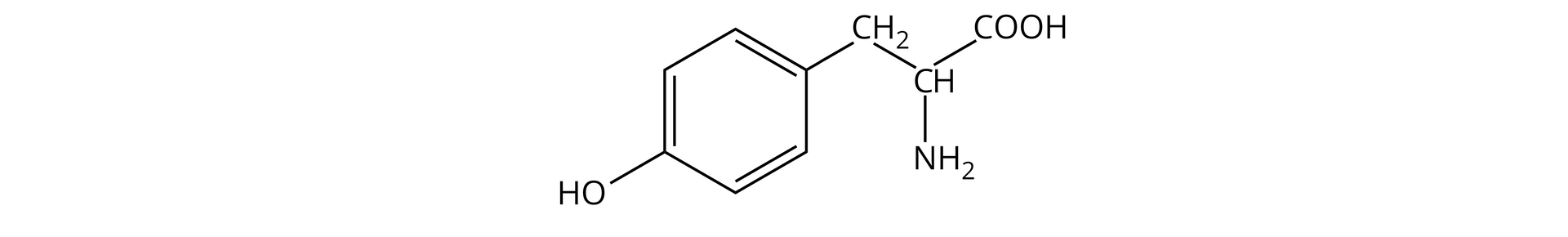 Ilustracja przedstawia wzór półstrukturalny tyrozyny. Do atomu węgla przyłączone są: atom wodoru, grupa karboksylowa, aminowa oraz grupa                C       H                 2          do której przyłączony jest pierścień fenylowy posiadający w pozycji para grupę hydroksylową.