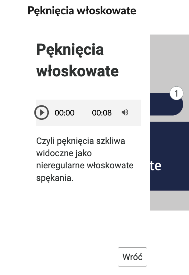 Grafika przedstawia tekst wyświetlany po kliknięciu na przykładowy znacznik, umieszczony na Planszy interaktywnej. Wyświetlony jest opis punktu zatytułowanego Pęknięcia włoskowate.