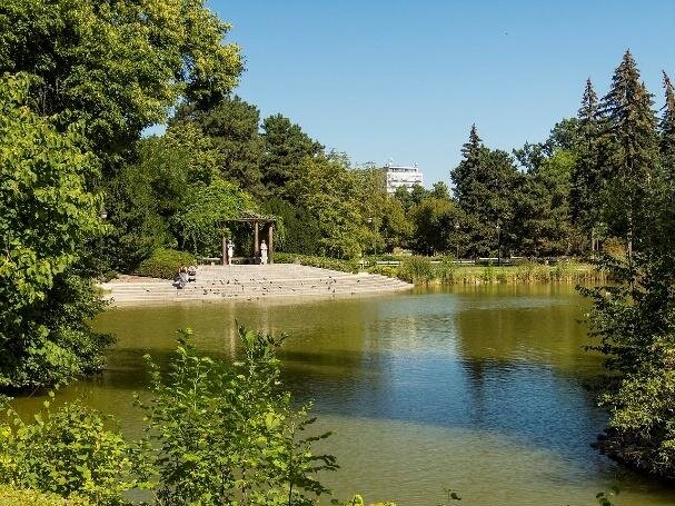 Zdjęcie przedstawia niewielki staw. Na lewym brzegu znajdują się szerokie schody prowadzące w stronę wody. Po prawej stronie rosną kwiaty, krzewy i drzewa. 