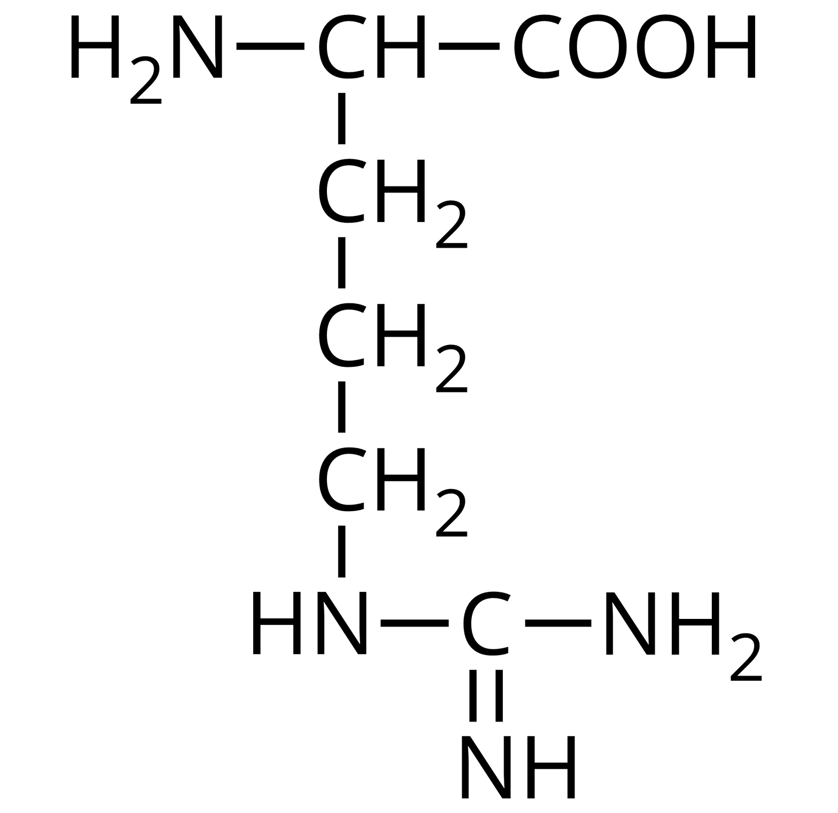 Na ilustracji jest wzór półstrukturalny: od prawej strony do lewej - grupa COOH łączy się z grupą CH. Ta w lewo łączy się z grupą aminową pierwszorzędową, a w dół z grupą metylenową. Grupa metylenowa łączy się na dole z kolejną grupą metylenową. Ta łączy się z następną grupą metylenową. Grupa metylenowa w prawo łączy się z NH, które z kolei łączy się z atomem węgla. Atom węgla łączy się u góry wiązaniem podwójnym z NH, a po prawej stronie z grupą aminową pierwszorzędową. 