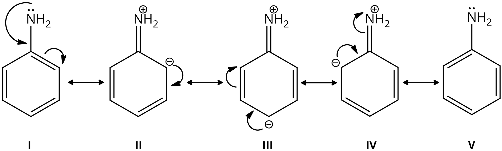Ilustracja przedstawia struktury rezonansowe cząsteczki aniliny. Pierwsza struktura to sześcioczłonowy pierścień z trzema wiązaniami podwójnymi, do jednego z atomów węgla przyłączona jest grupa NH2, atom azotu posiada wolną parę elektronową. Strzałka jest poprowadzona od wolnej pary elektronowej atomu azotu na wiązanie azot węgiel, a druga strzałka od wiązania podwójnego węgiel węgiel sąsiadującego z wiązaniem węgiel azot. Druga struktura rezonansowa to sześcioczłonowy pierścień w którym występują już tylko dwa wiązania podwójne. Grupa NH2 jest połączona z atomem węgla wiązaniem podwójnym, na atomie azotu znajduje się ładunek dodatni, a na atomie węgla w położeniu 2 ładunek ujemny. W strukturze trzeciej ładunek ujemny zlokalizowany jest na atomie węgla w położeniu 4, a w czwartej strukturze na atomie w położeniu 5. następnie ładunek przenosi się na wiązanie węgiel węgiel, a wiązanie podwójne zmienia się w pojedyncze, para elektronowa wraca na atom azotu. Odtwarza się struktura wyjściowa aniliny.
