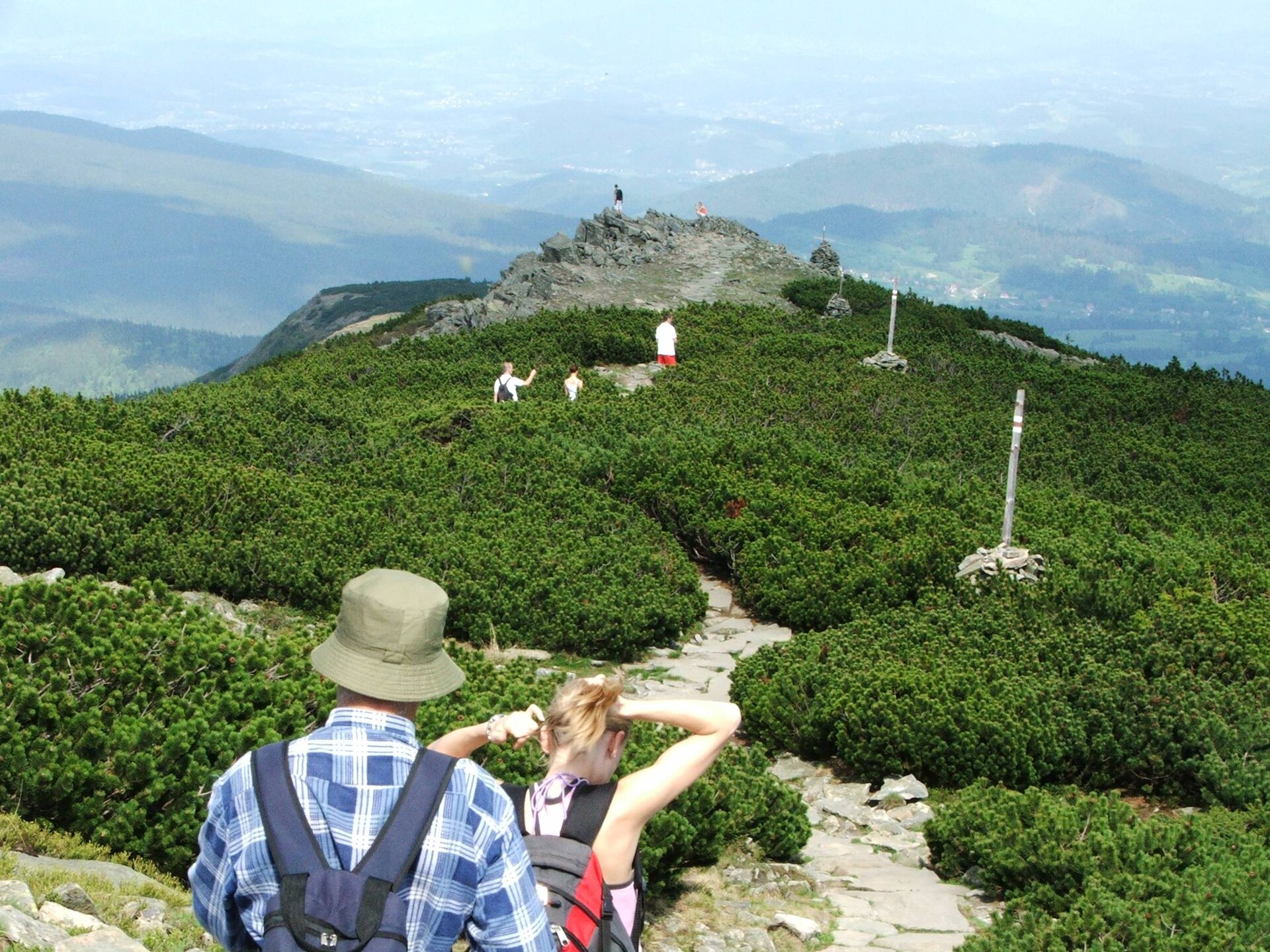 Na zdjęciu turyści w górach na ścieżce pośród gęstej kosodrzewiny.