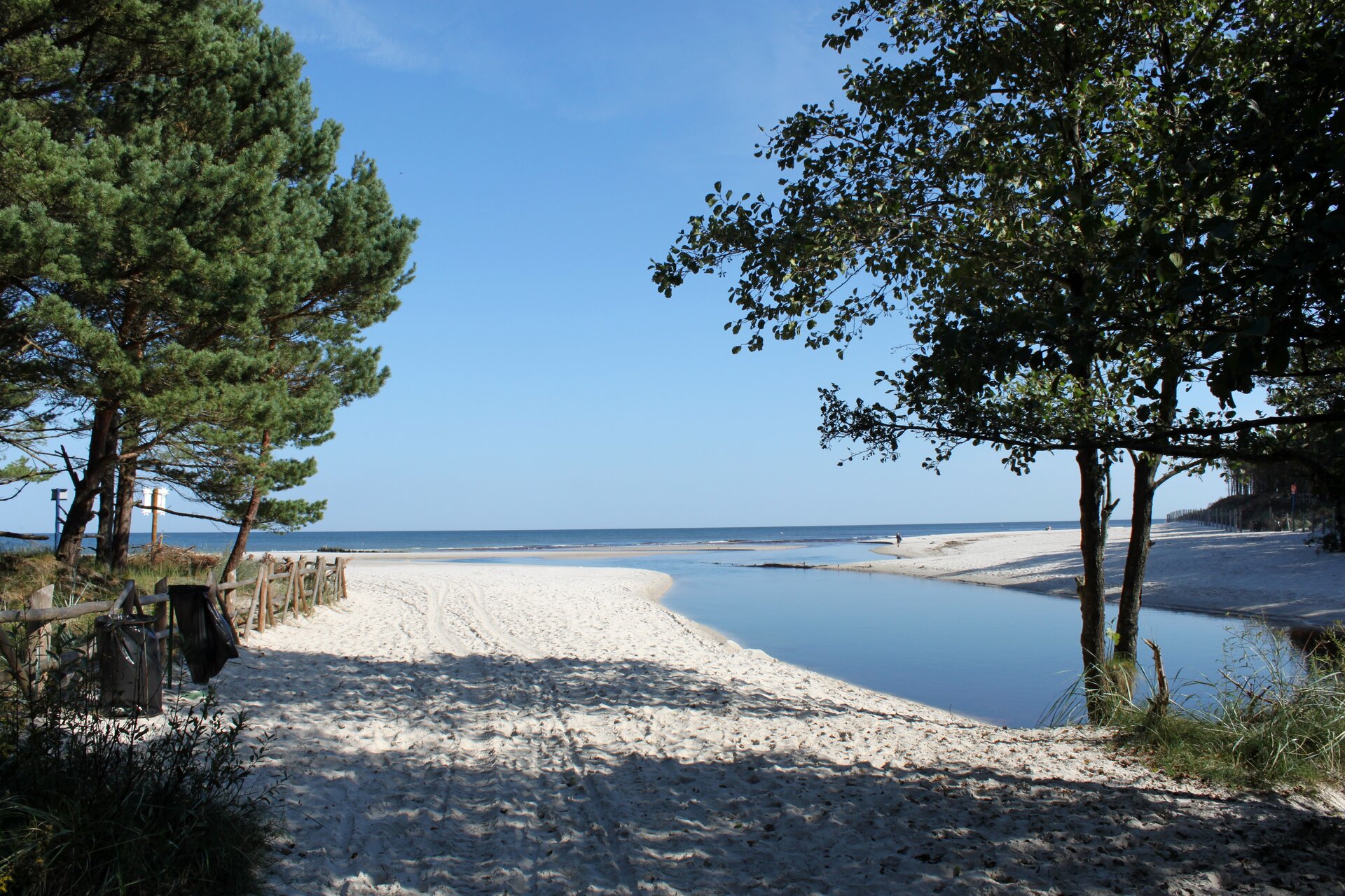 Fotografia przedstawia ujście rzeki. Brzegi rzeki są piaszczyste. Na piasku rosną pojedyncze drzewa. Rzeka wylewa się do morza.