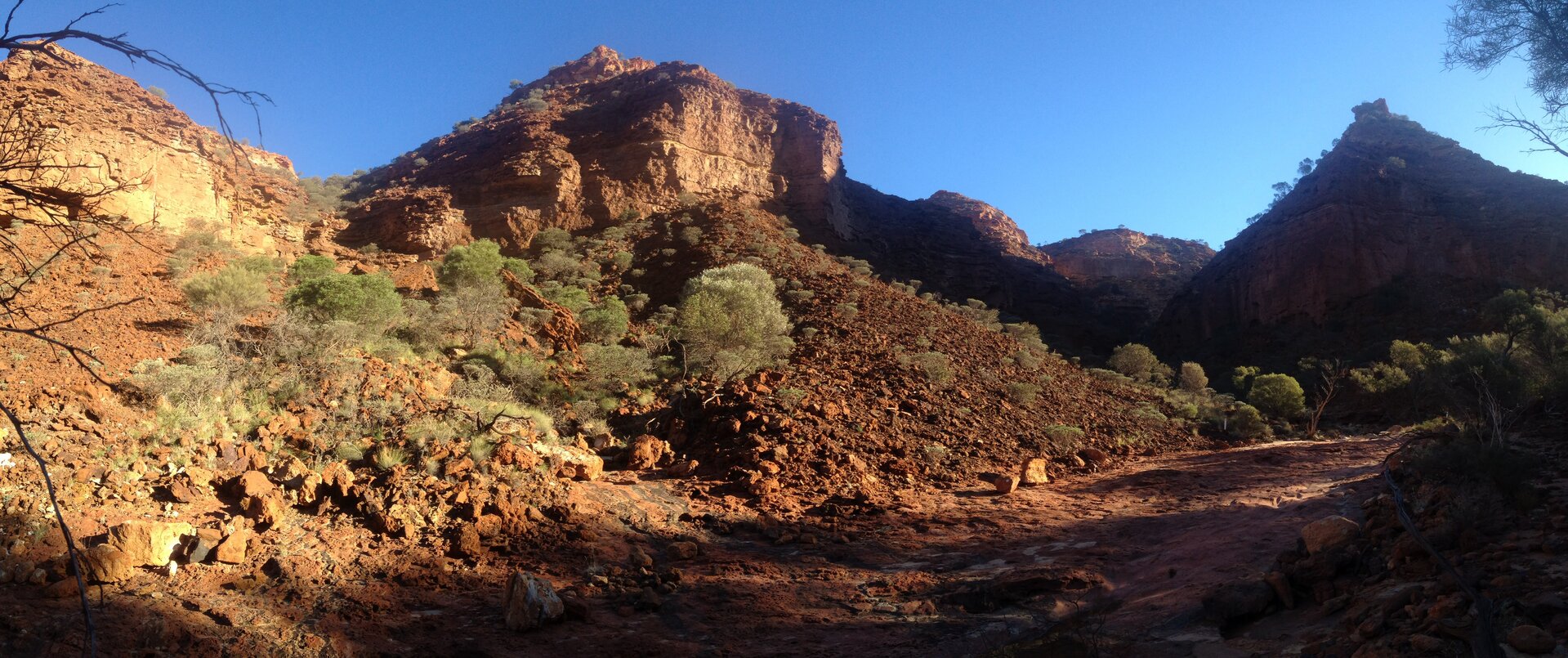 Fotografia przedstawia krajobraz zachodniego wybrzeża Australii. Na pierwszym planie uschnięte drzewo na czerwonej, spękanej ziemi. Nieliczne krzewy i trawa w pobliżu wody po lewej stronie. W tle pas cienkich drzew o niewielkich koronach.
